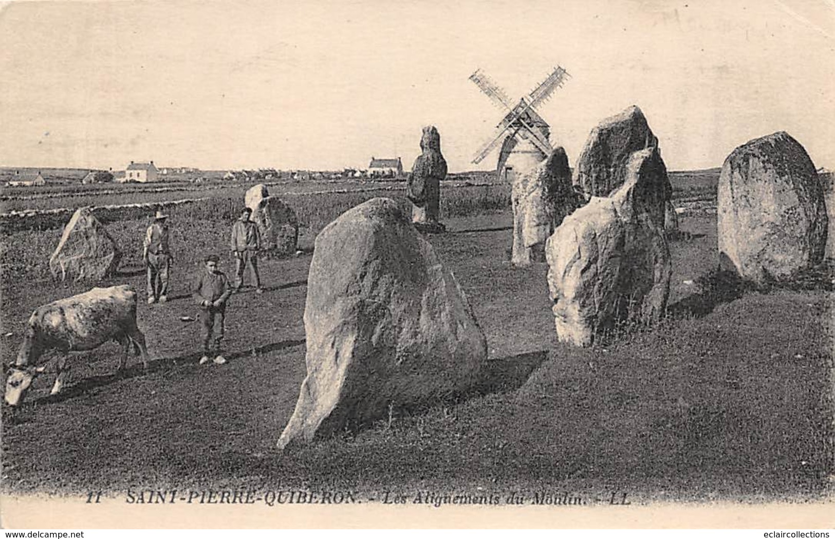 Quiberon     56       St Pierre Quiberon.Menhirs Et Le Moulin       (voir Scan) - Quiberon