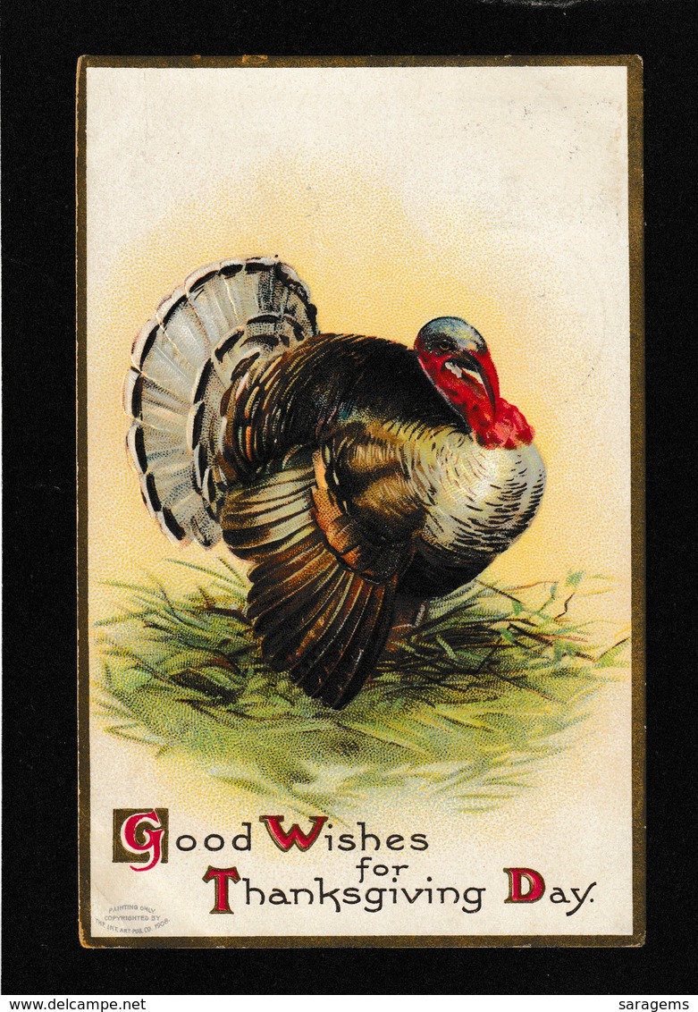 Ellen Clapsaddle - Thanksgiving Turkey 1908 - Antique Postcard - Clapsaddle