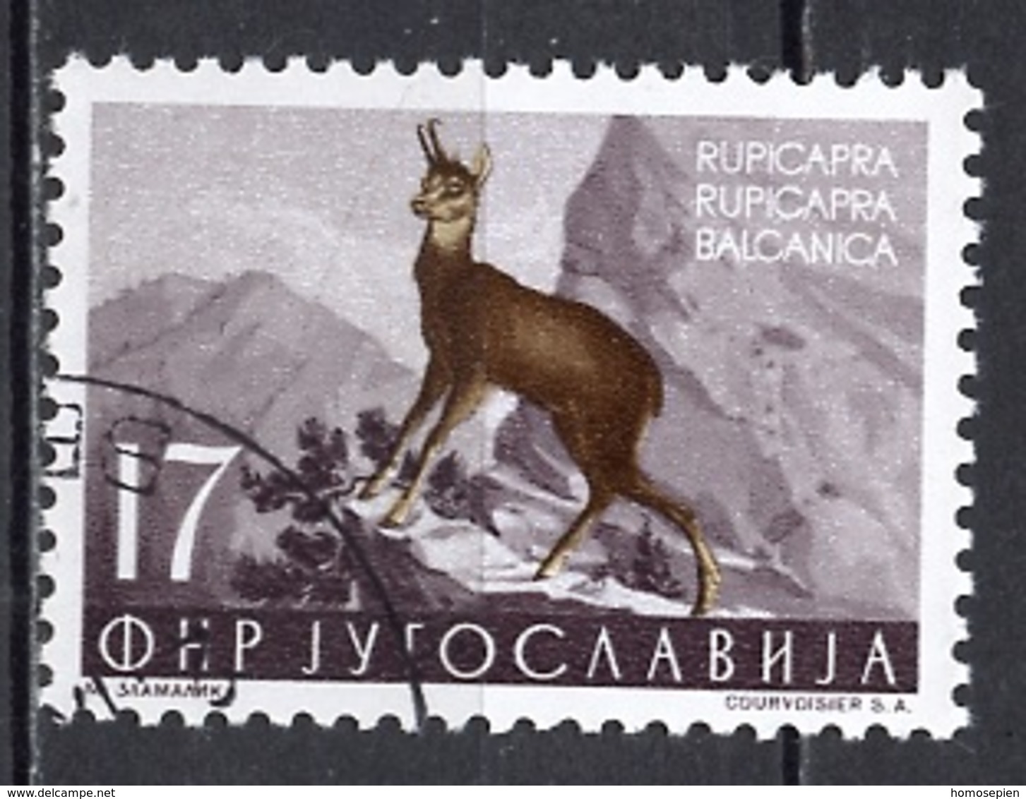 Yougoslavie - Jugoslawien - Yugoslavia 1954 Y&T N°647 - Michel N°742 (o) - 17d Chamois - Used Stamps