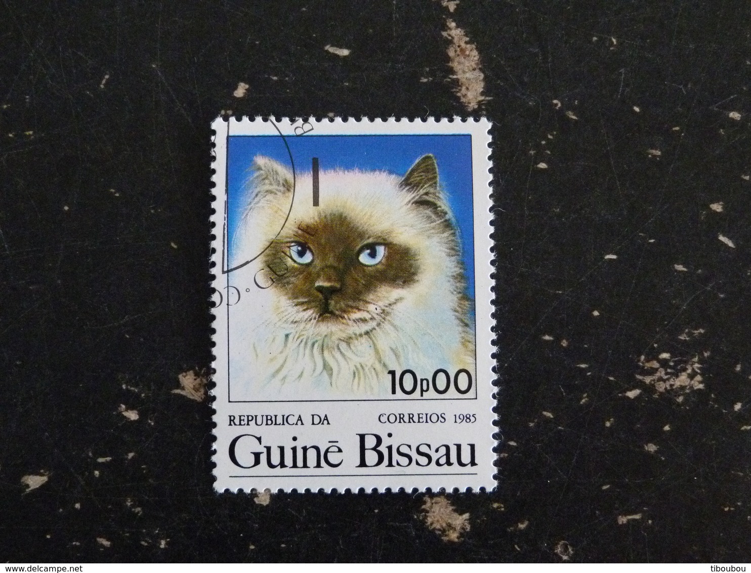 GUINEE GUINE BISSAU YT 355 OBLITERE - CHAT CAT KATZ - Guinea-Bissau