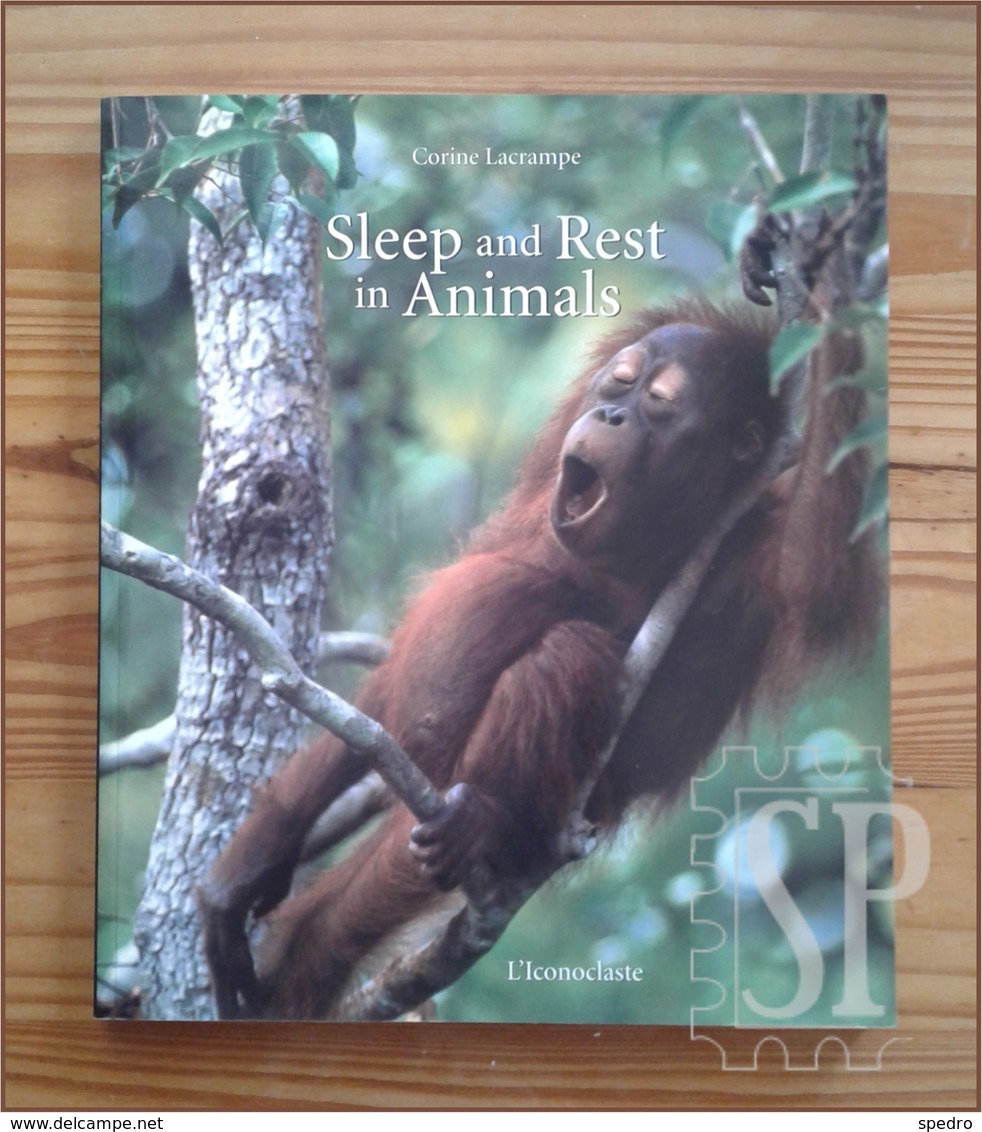 France 2002 Sleep And Rest In Animals Corine Lacrampe L'Iconoclaste Editions Shophie De Sivry Arte Gráfica Livro - Fotografia