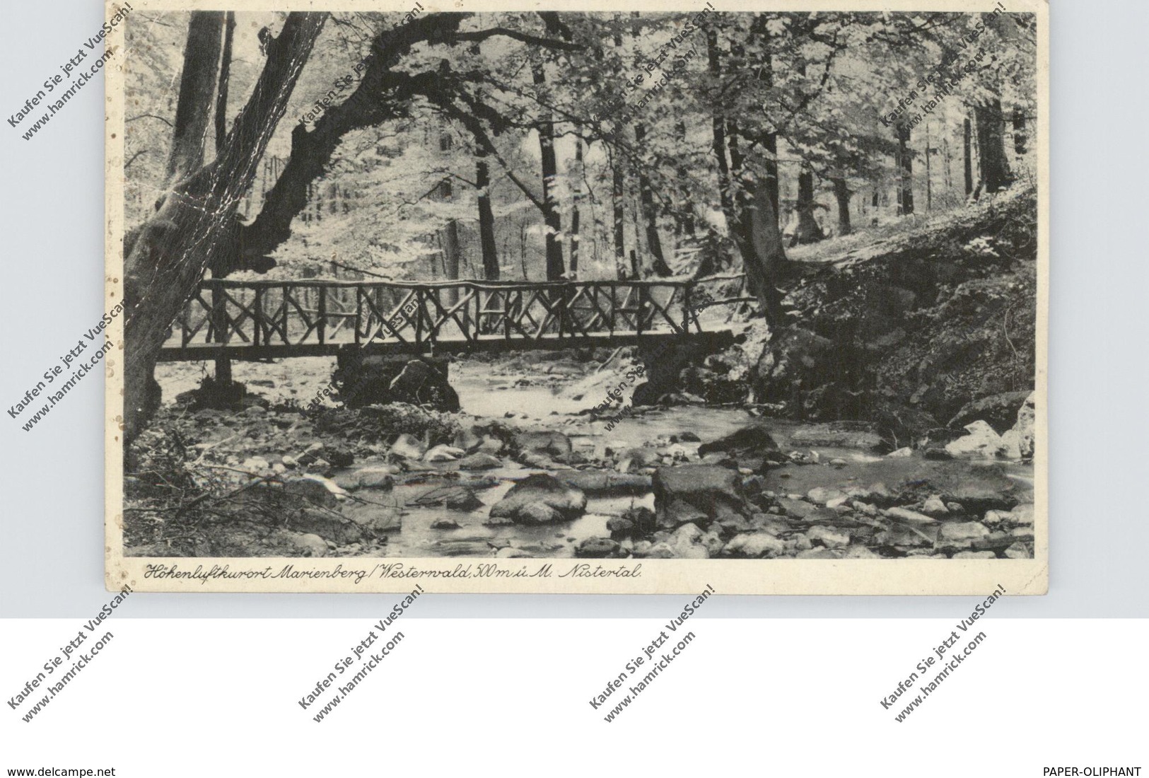 5439 BAD MARIENBERG, Nistertalbrücke, 1934 - Bad Marienberg