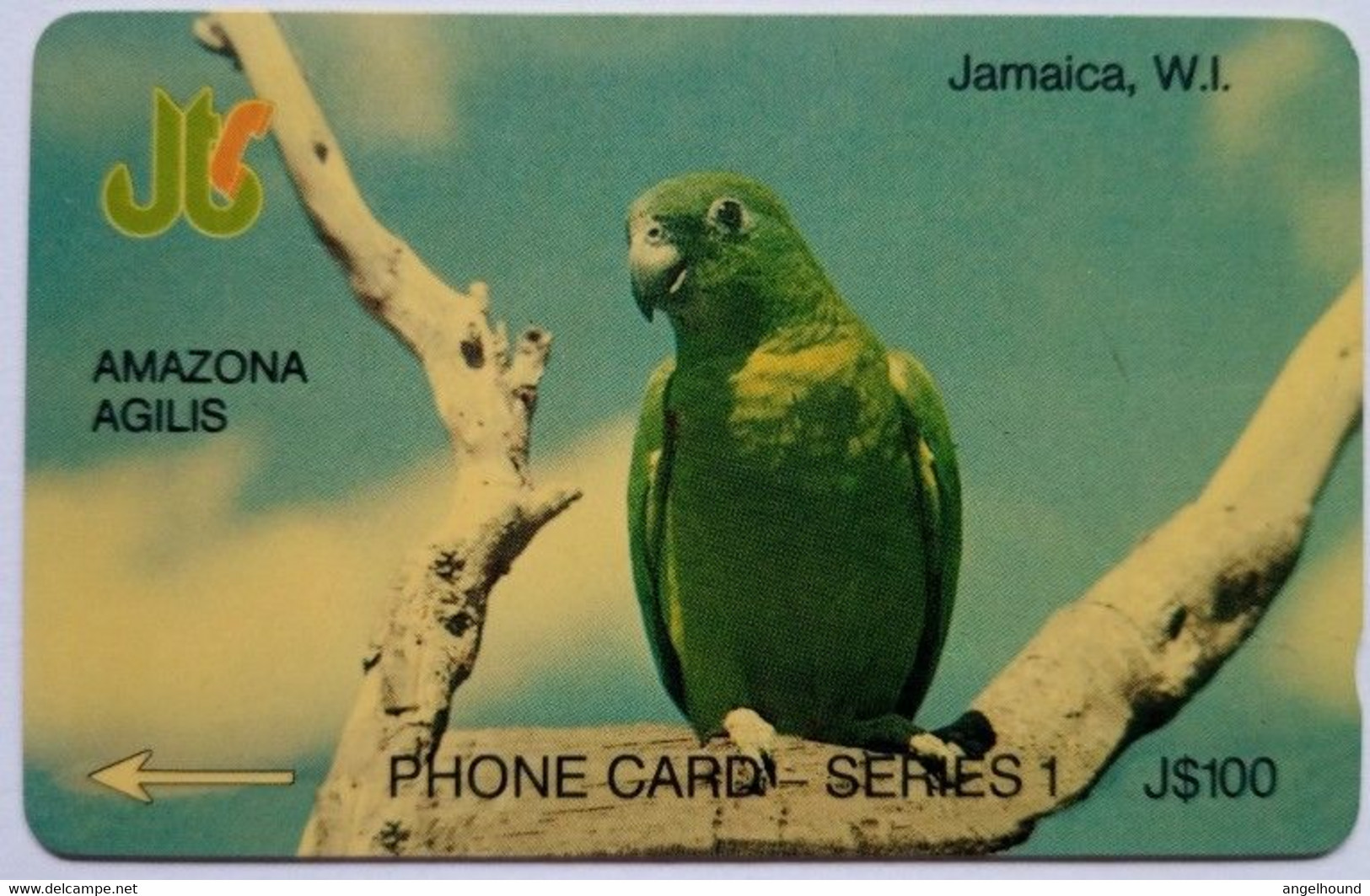 Jamaica  J$100  7JAMB  " Amazona Agilis " - Jamaica