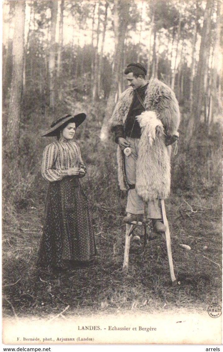 FR40 LANDES - Berger Echassier Landais - Animée - Belle - Sonstige & Ohne Zuordnung