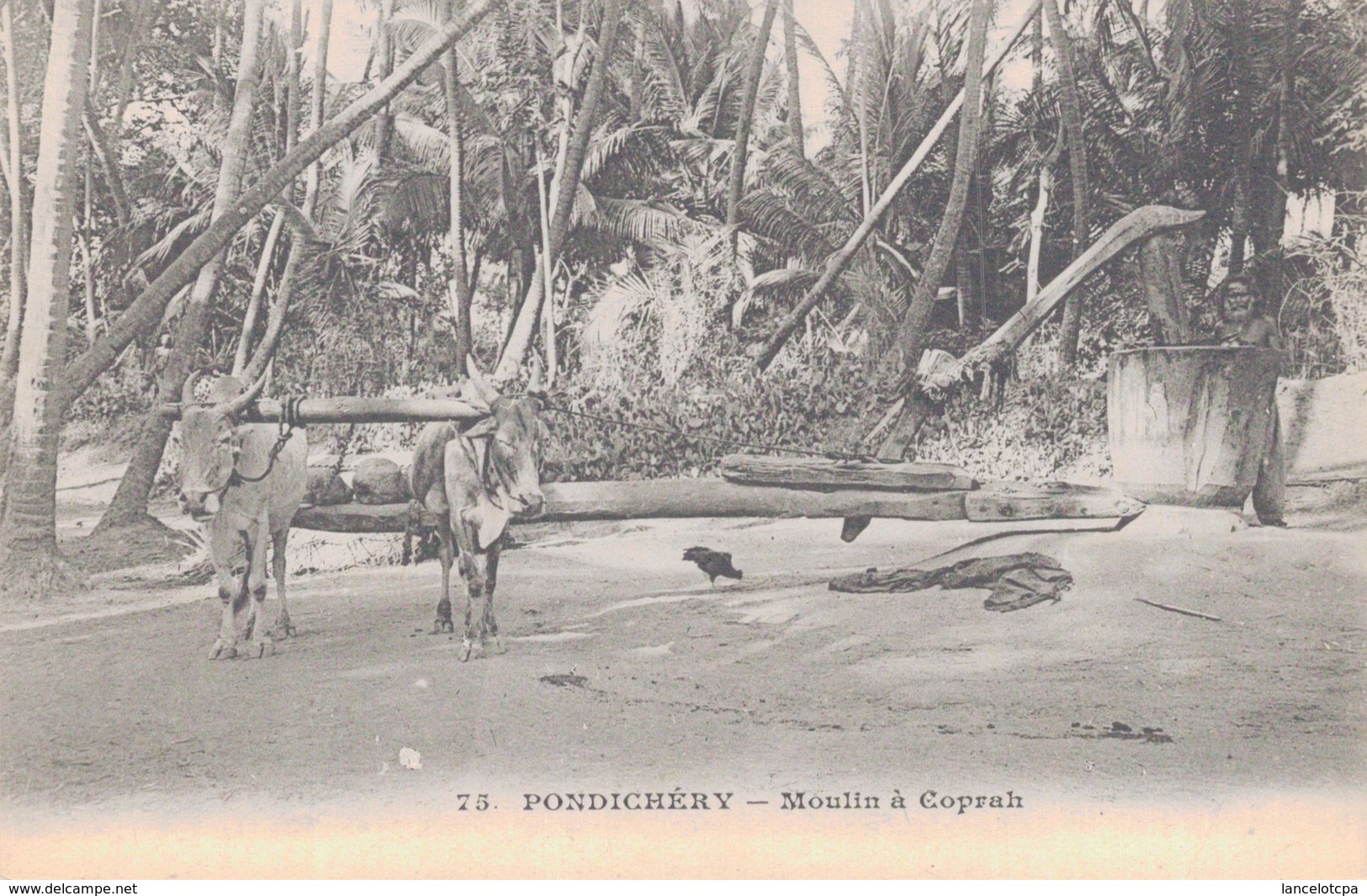 PONDICHERY / MOULIN A COPRAH - Inde