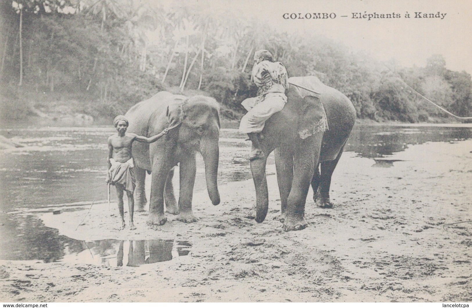 CEYLON  COLOMBO / ELEPHANTS à KANDY - Sri Lanka (Ceylon)