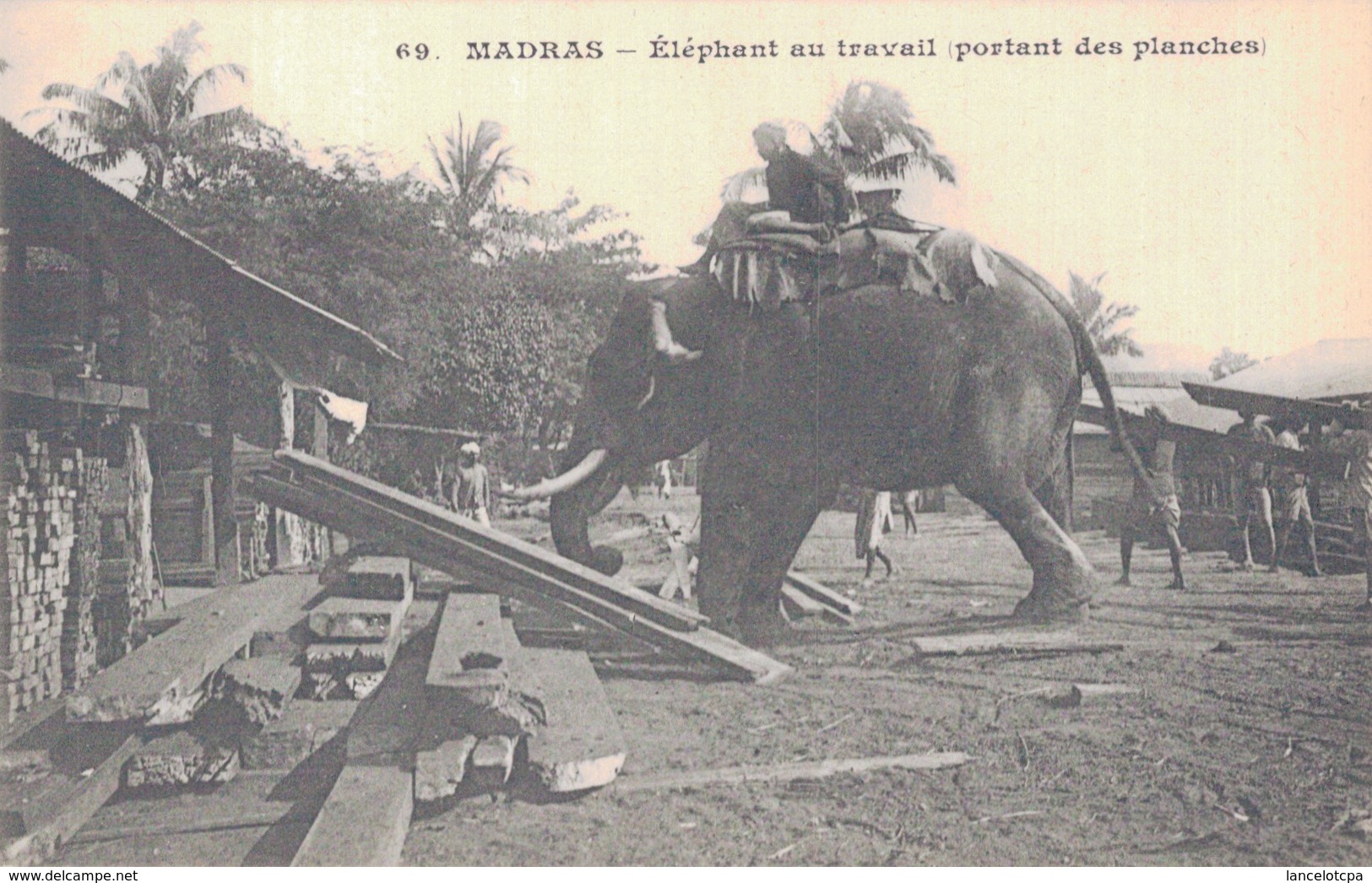 MADRAS / ELEPHANT AU TRAVAIL PORTANT DES PLANCHES - Inde