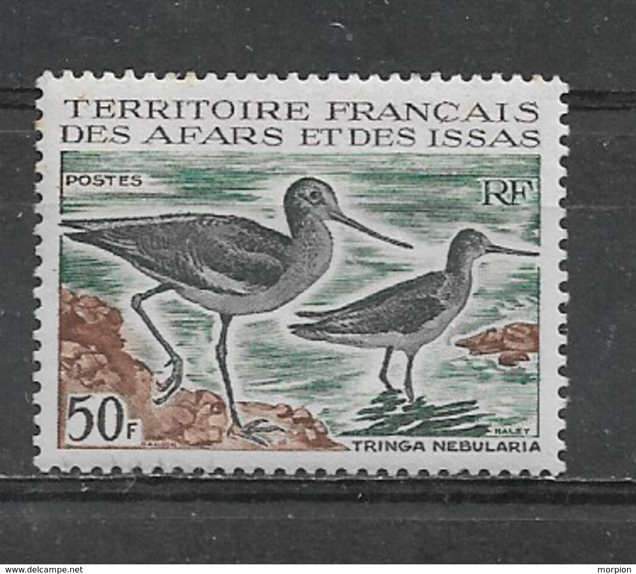 AFARS ET ISSAS -  Yvert  N ° 331 **  TRINGA NEBULARIA - Unused Stamps