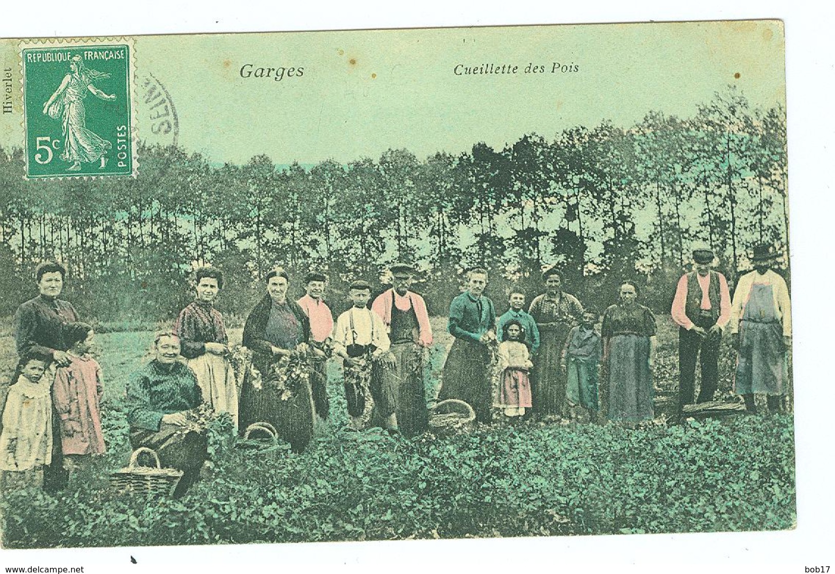 Très Belle Cpa-cueillette Des Pois- TBE - Garges Les Gonesses