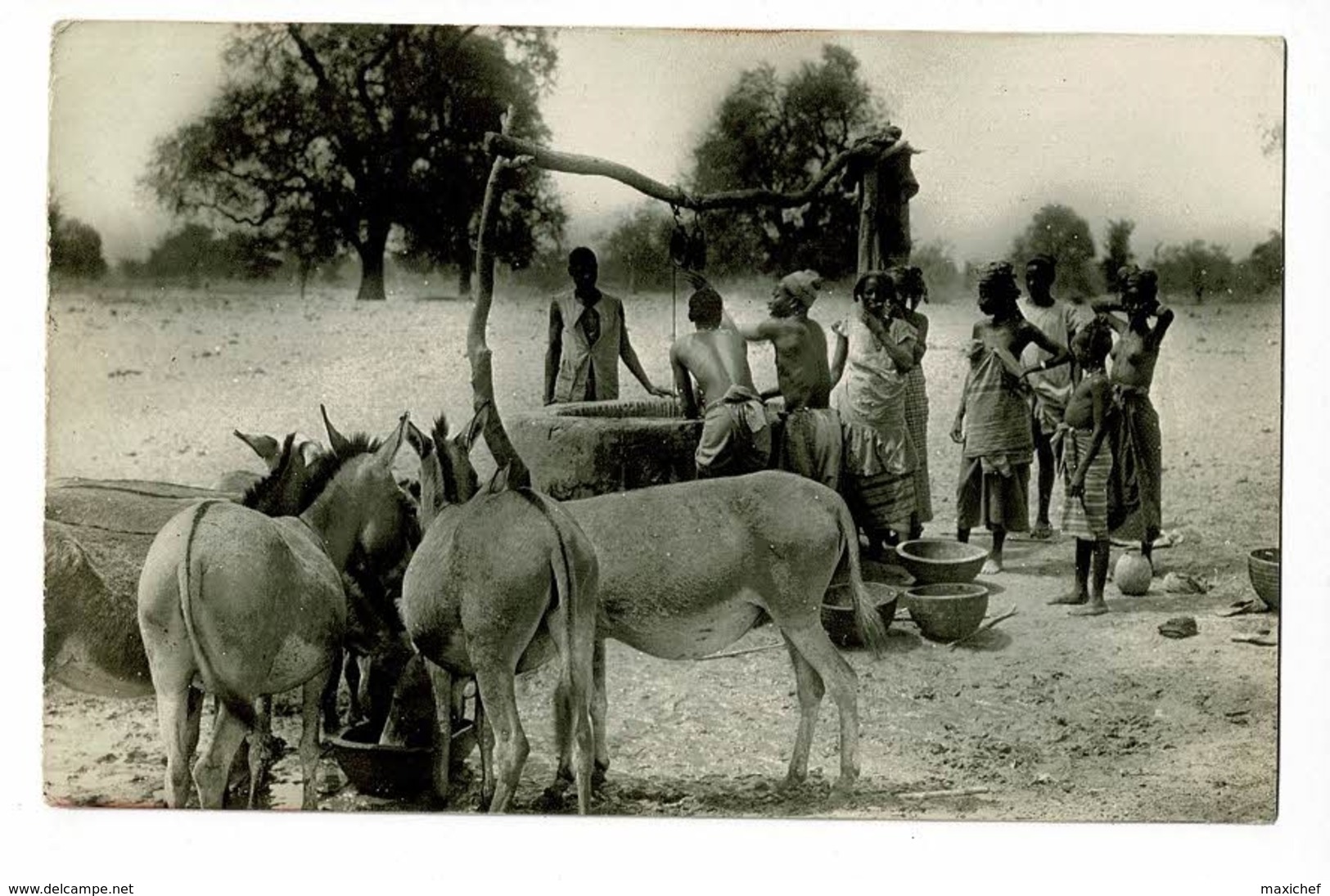 Sénégal - Au Puits Près De Dakar (animation, Mules & Villageois, Jeune Fille Seins Nus - Circulé Depuis Camp Leclerc - Sénégal