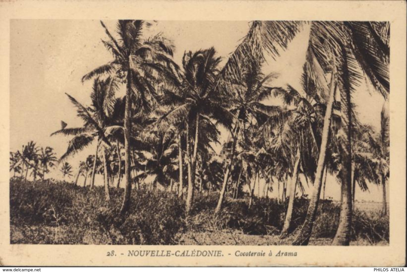 YT 98 Nouvelle Calédonie 40ct Rouge Sur Verdâtre Rade CAD Nouméa 7 OCT 1929 CPA Cocoteraie à Arama - Oblitérés