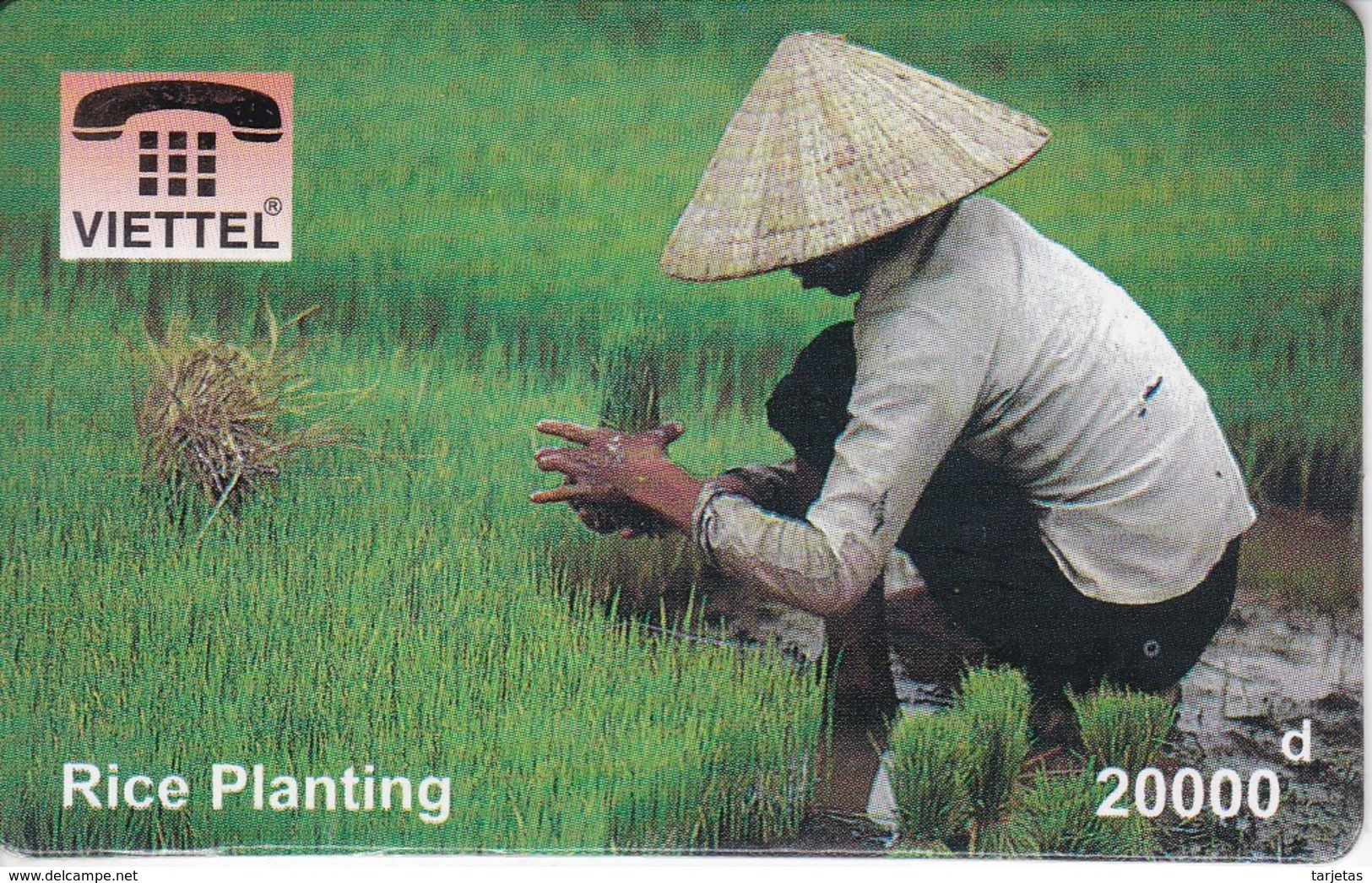 TARJETA DE VIETNAM DE UNA PERSONA PLANTANDO ARROZ (VIETTEL) - Viêt-Nam