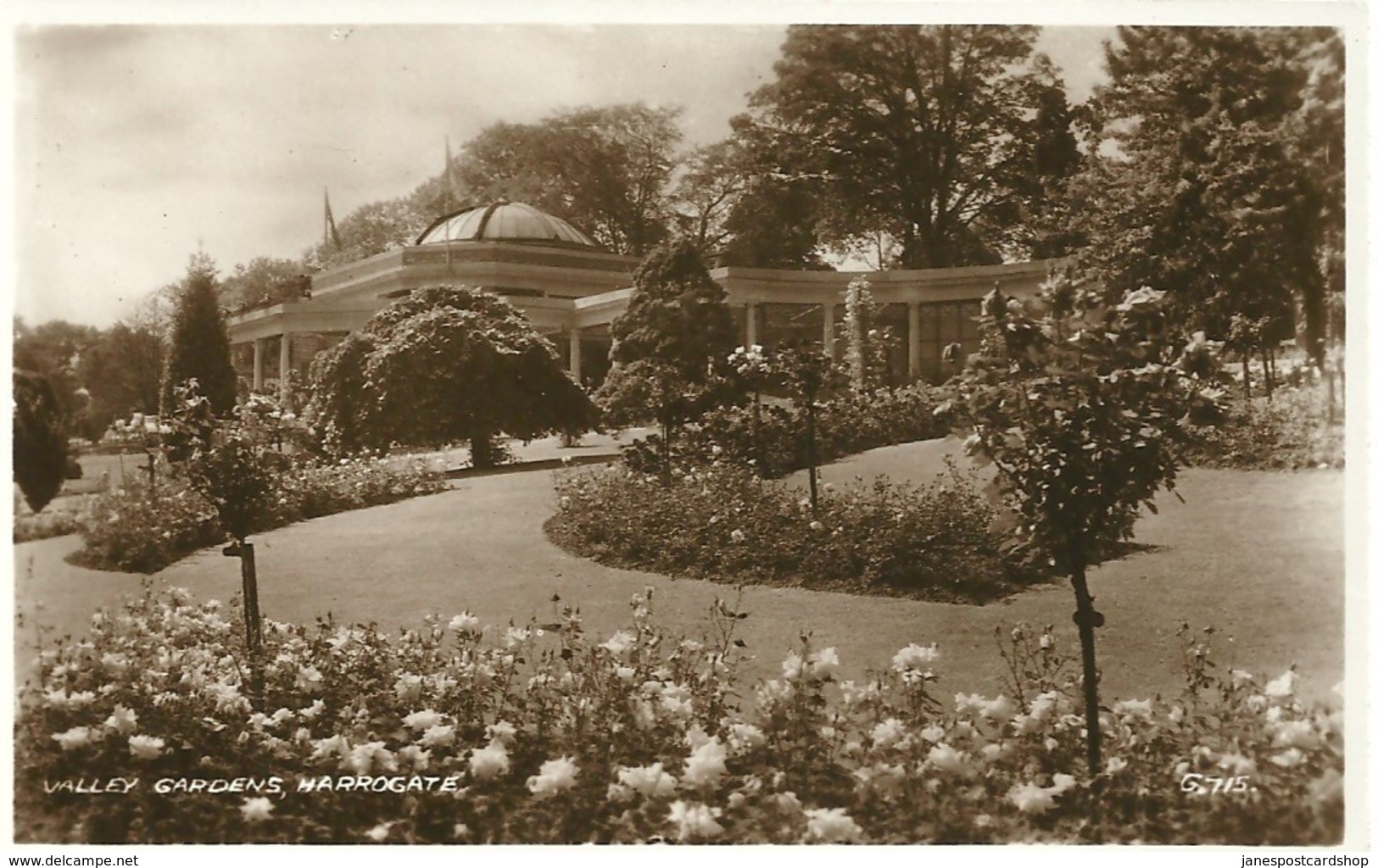 REAL PHOTOGRAPHIC POSTCARD - HARROGATE - VALLEY GARDENS  - YORKSHIRE - Harrogate