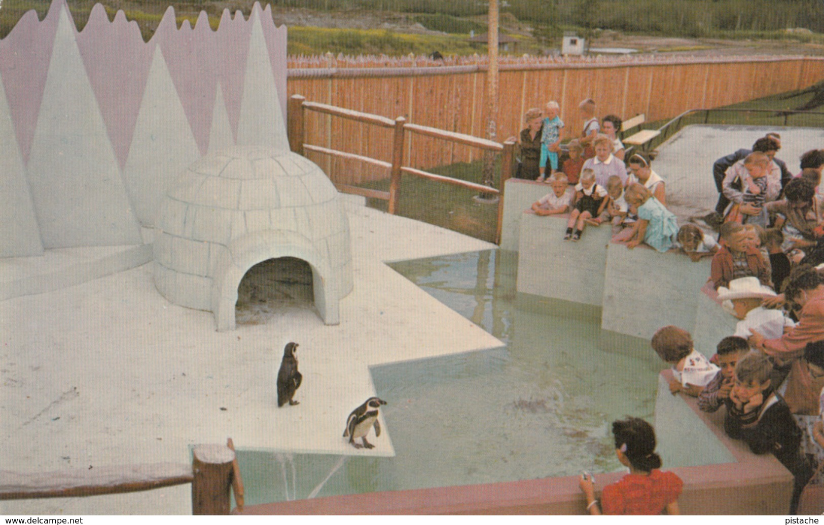 Edmonton Alberta - Storyland Valley - Penguin's Igloo Zoo Animals Children - Unused - VG Condition - 2 Scans - Edmonton