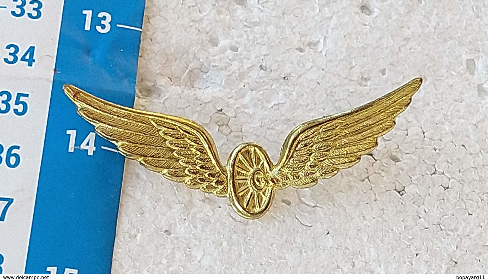 Argentina Argentine Police Highway Patrol Wings Badge Pin  #8 - Police & Gendarmerie