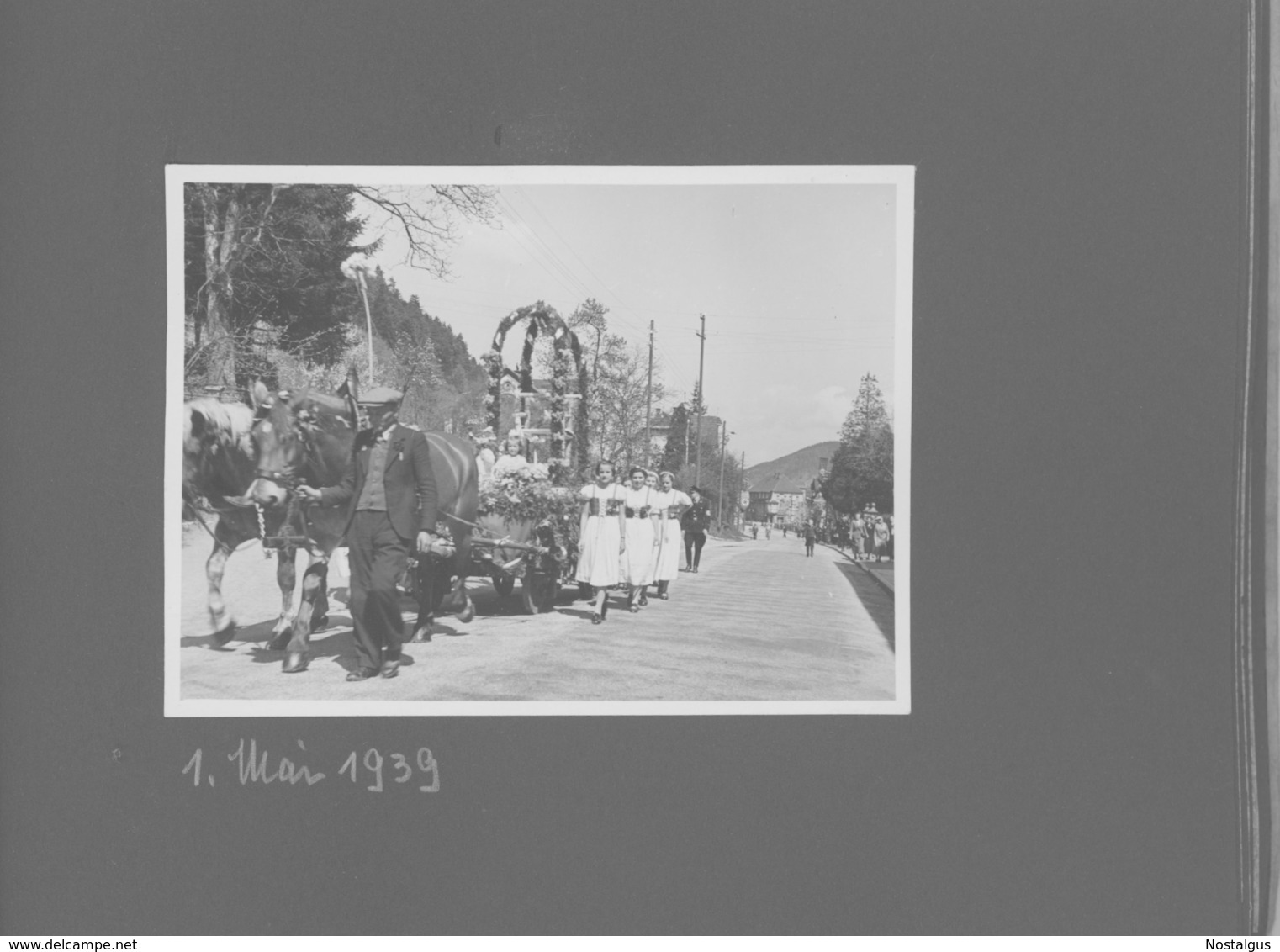 Zeitgeschichte: Nazionalsozialismus im Schwarzwald. Fotoalbum mit 49 Fotos aus Gutach, Wolfach, Reichenbach....