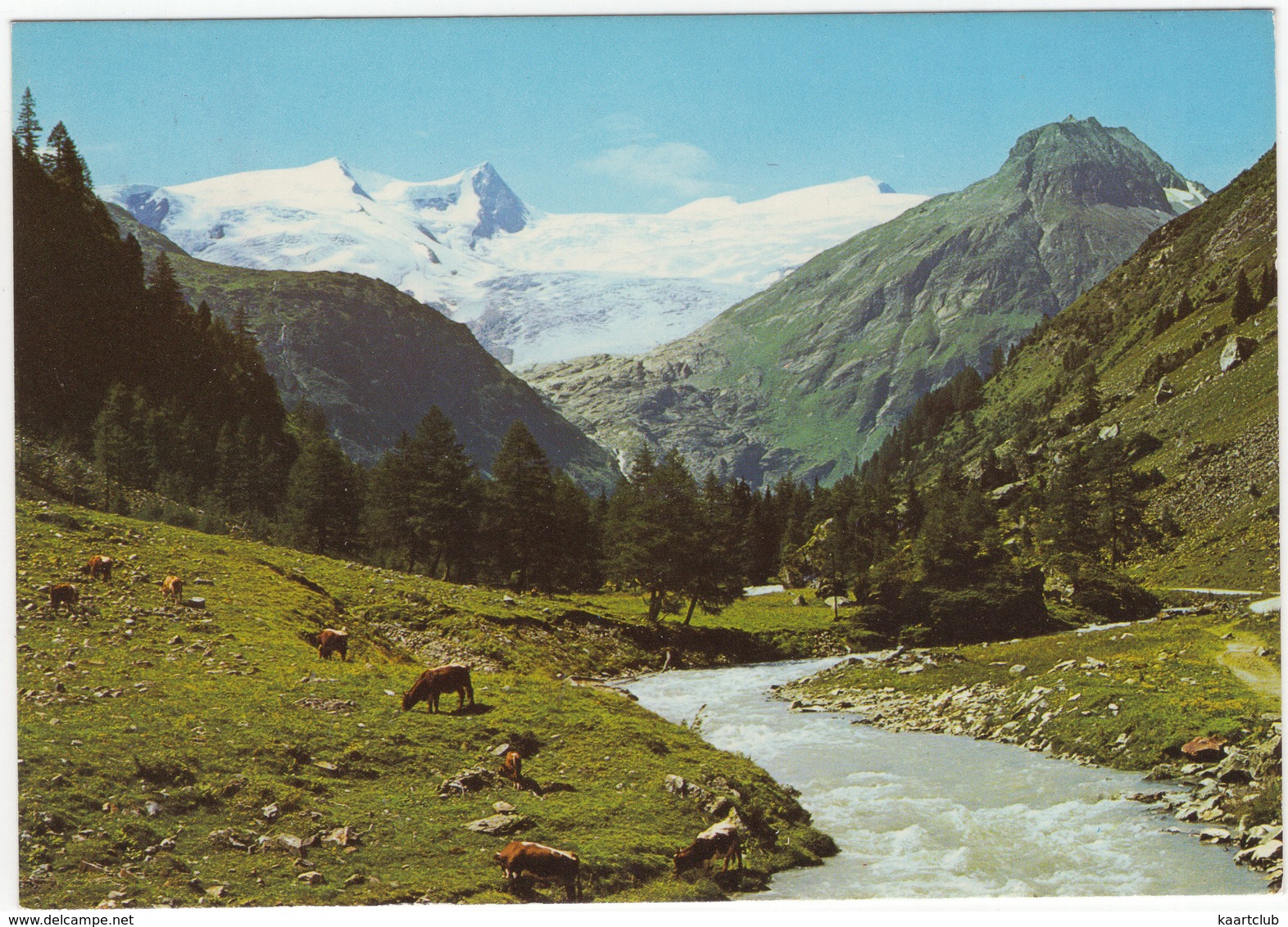 Weg Nach Innergschlöß 1691 M Mit Blick Auf Kesselkopf, Klein-  Und Großvenediger... - Tirol - Matrei In Osttirol