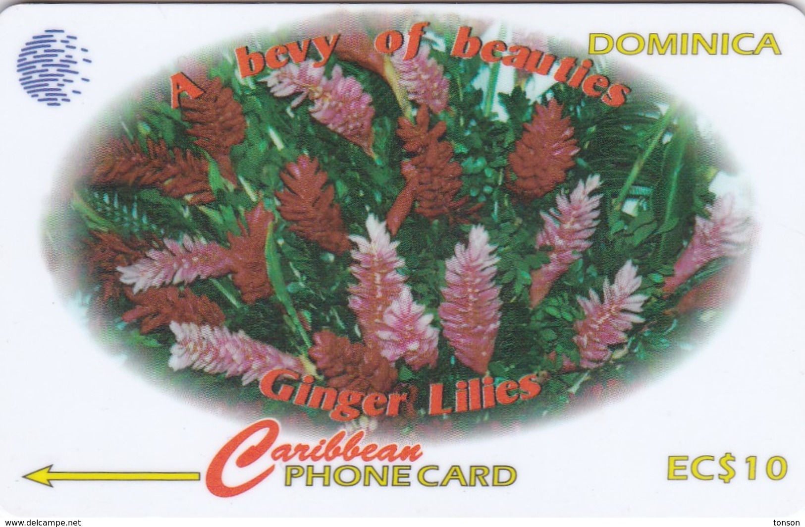 Dominica, 138CDMA, Ginger Lilies, Flowers, 2 Scans. - Dominica