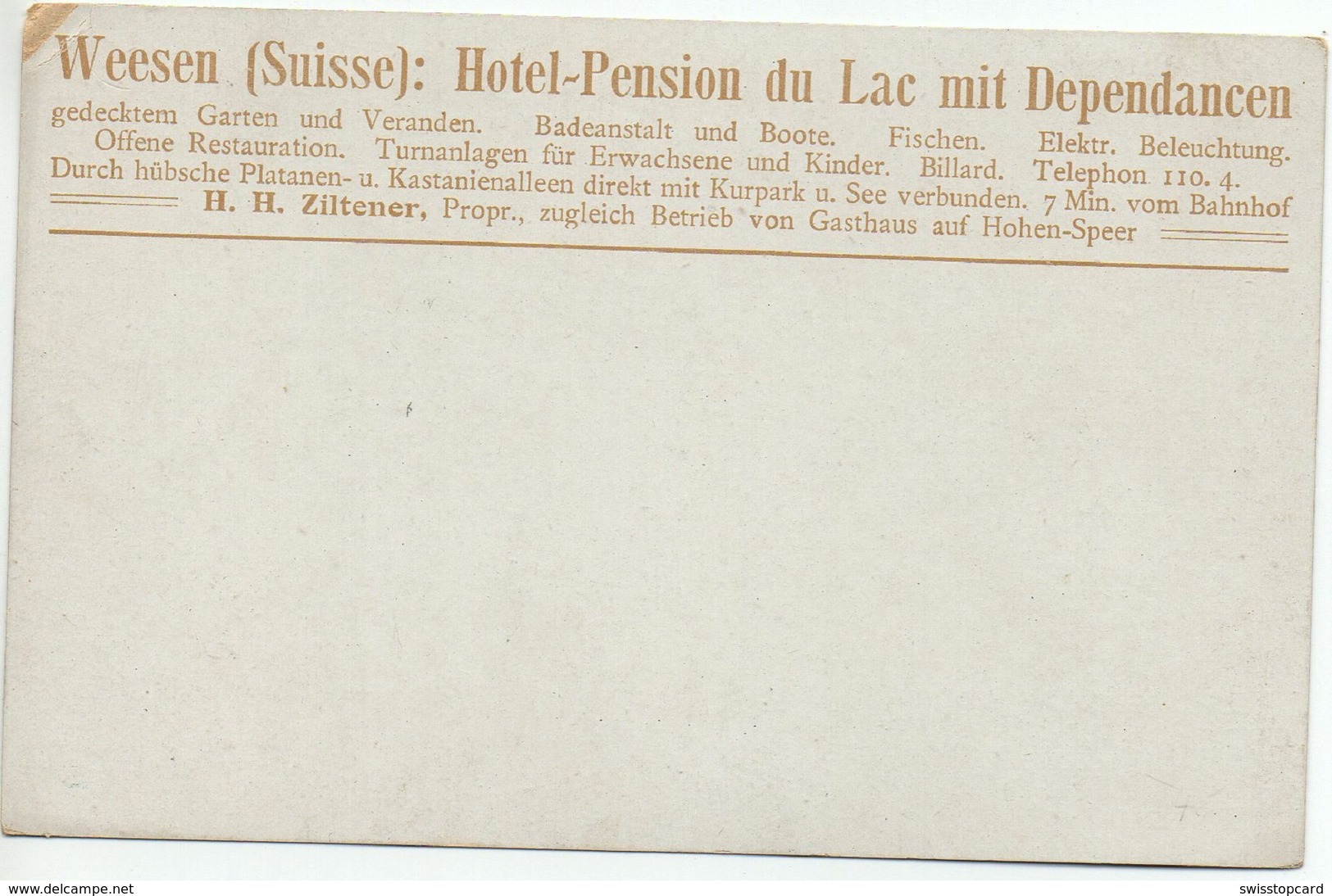 WEESEN Werbung Hotel Pension Du Lac Mit Dependancen Badeanstalt Und Boote H.H. Ziltener Propr. - Weesen