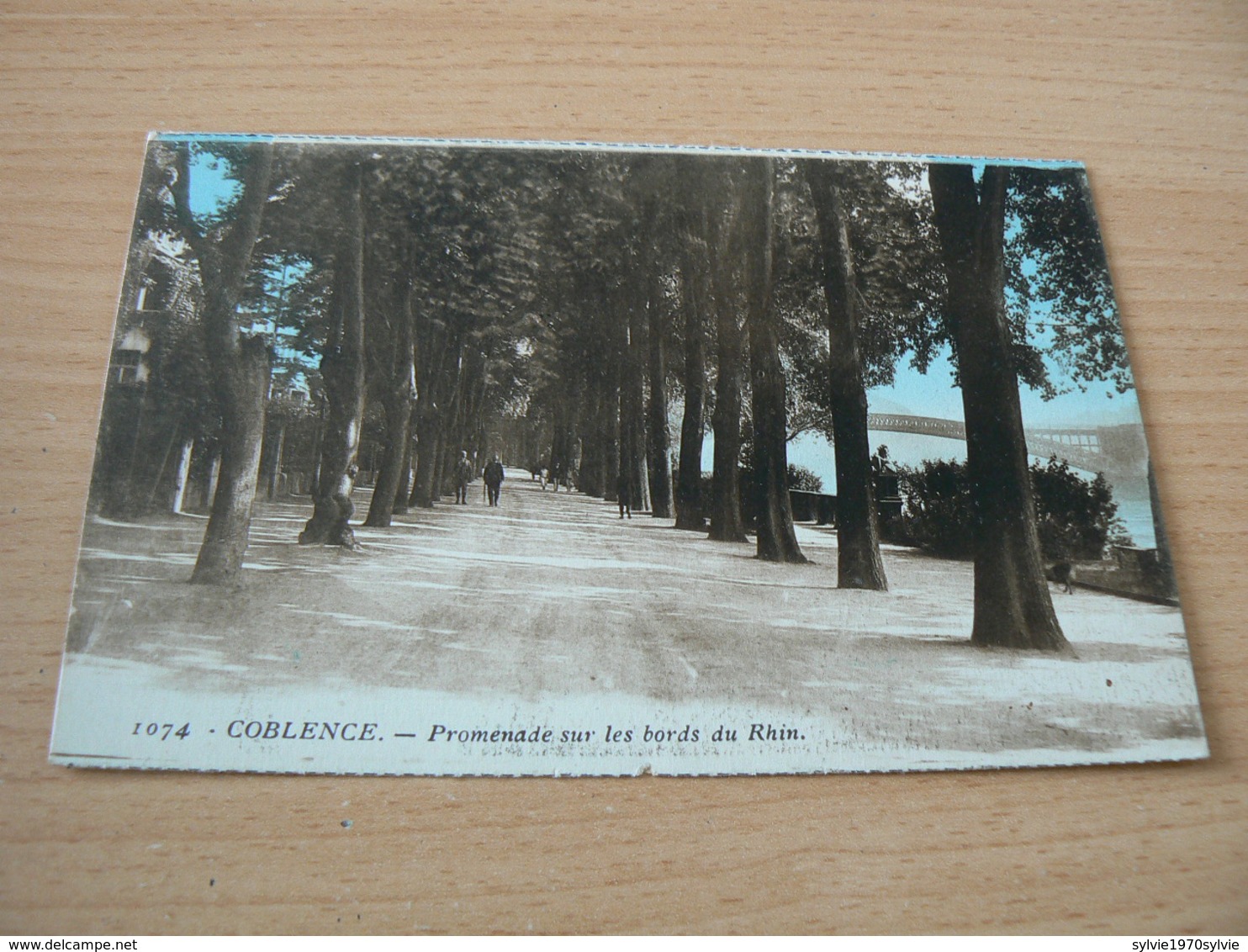 CARTE POSTALE / ALLEMAGNE / COBLENCE PROMENADE SUR LES BORDS DU RHIN     VOYAGE/6 - Autres & Non Classés