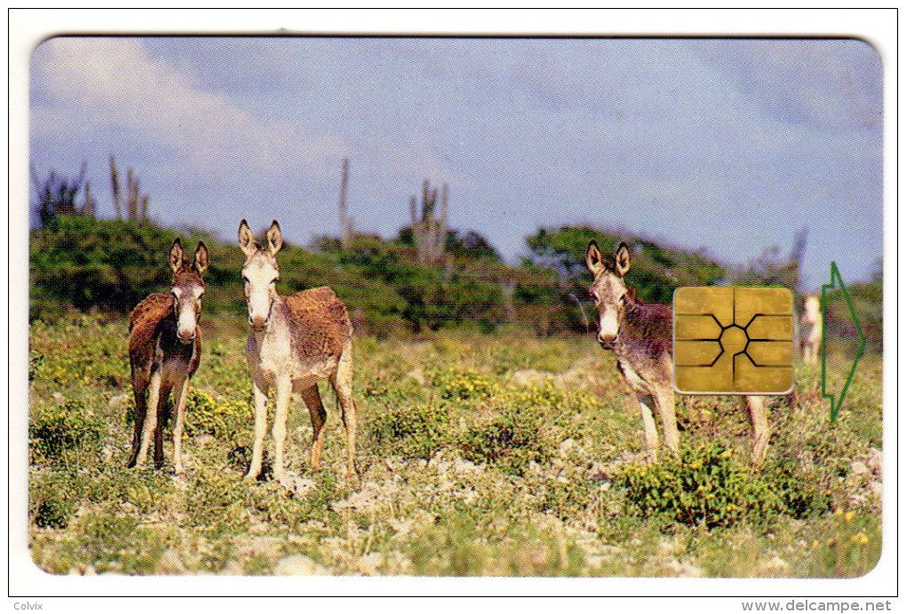 ANTILLES NEERLANDAISES BONNAIRE REF MV CARDS BON-13 Année 1999 ANE - Antillas (Nerlandesas)