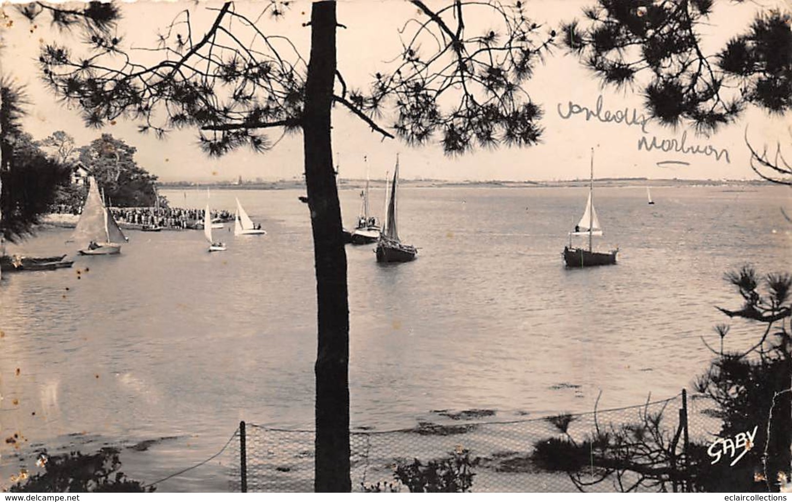 Ile De Conleau         56           Les Régates  1952       (Voir Scan) - Ile Aux Moines