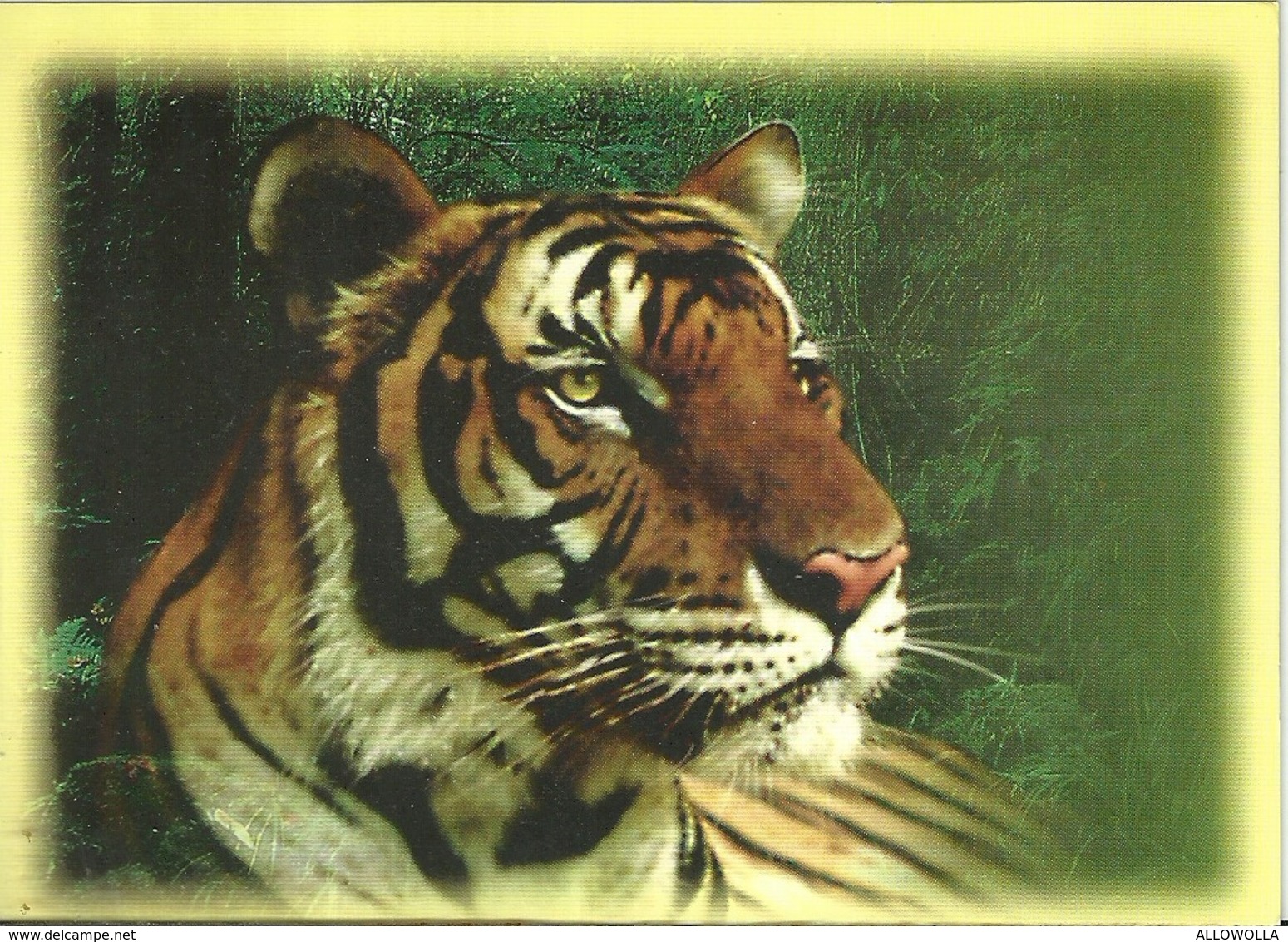 7304 " THAILAND  WILD ANIMALS 6th SERIES"- 3 THAILAND POSTCARD - Thaïlande