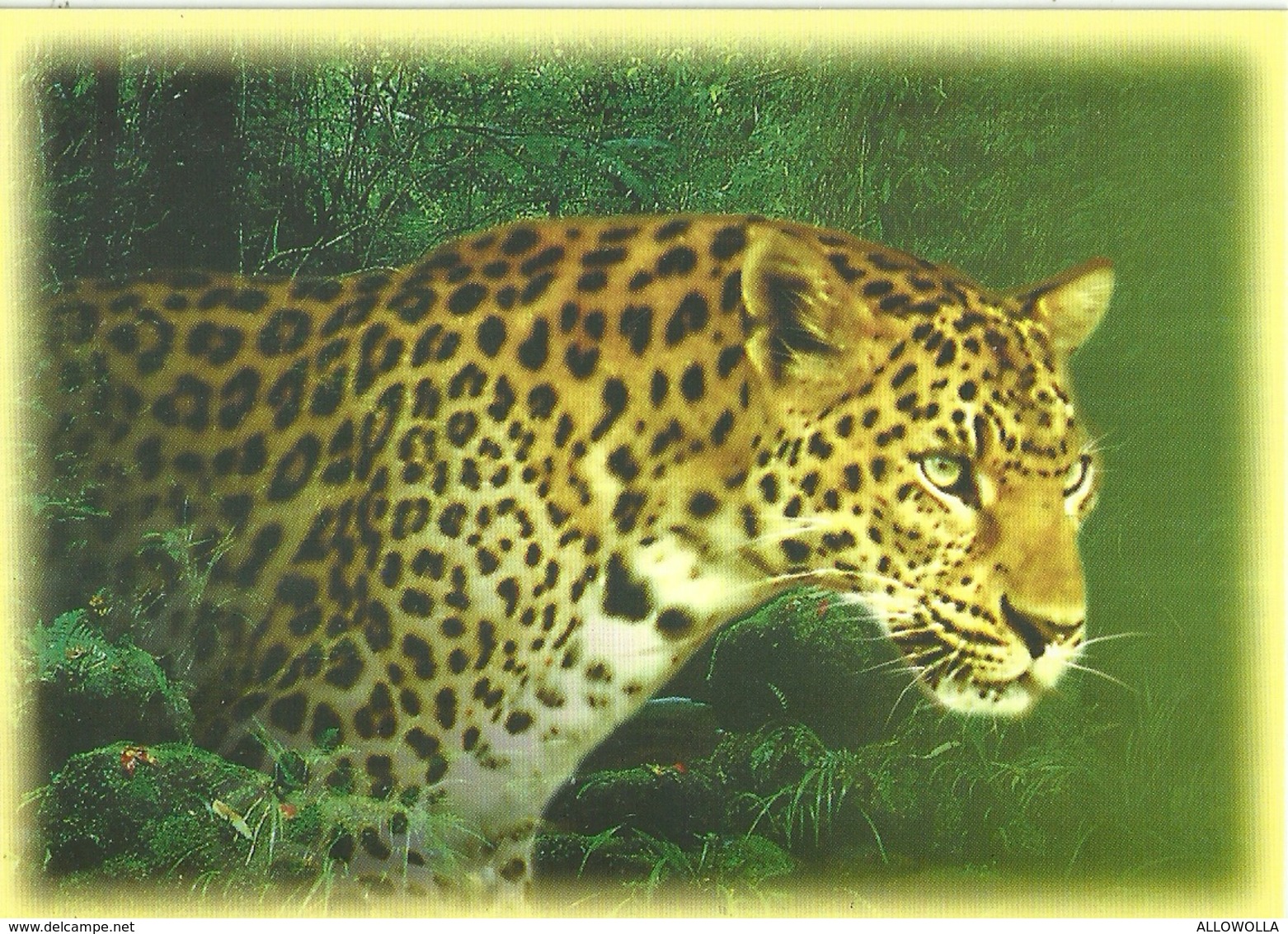 7304 " THAILAND  WILD ANIMALS 6th SERIES"- 3 THAILAND POSTCARD - Thaïlande