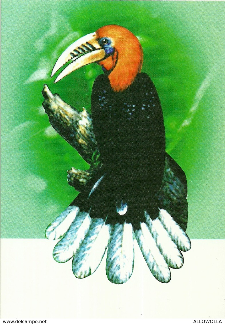 7306 " THAILAND  THE SECOND INTERNATIONAL ASIAN HORNBILL WORKSHOP "- 4 THAILAND POSTCARD - Thaïlande