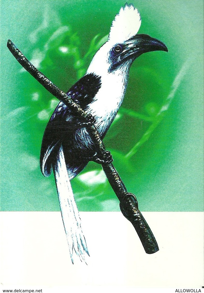 7306 " THAILAND  THE SECOND INTERNATIONAL ASIAN HORNBILL WORKSHOP "- 4 THAILAND POSTCARD - Thaïlande