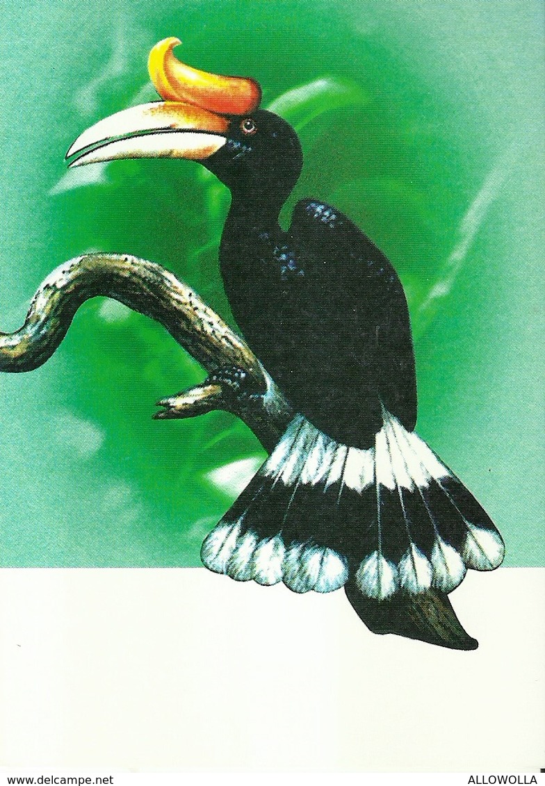 7306 " THAILAND  THE SECOND INTERNATIONAL ASIAN HORNBILL WORKSHOP "- 4 THAILAND POSTCARD - Thaïlande