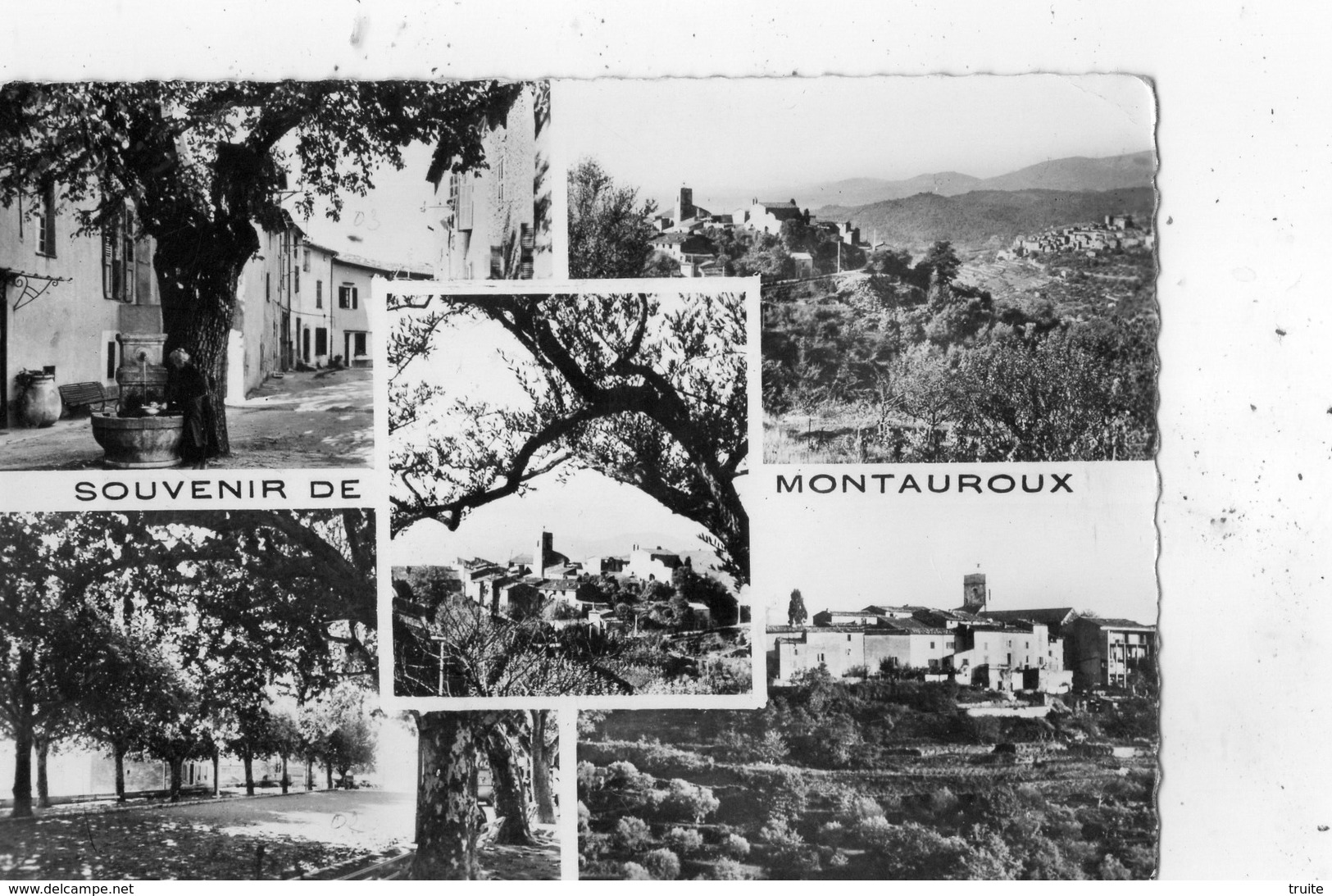 SOUVENIR DE MONTAUROUX MULTIVUES - Montauroux