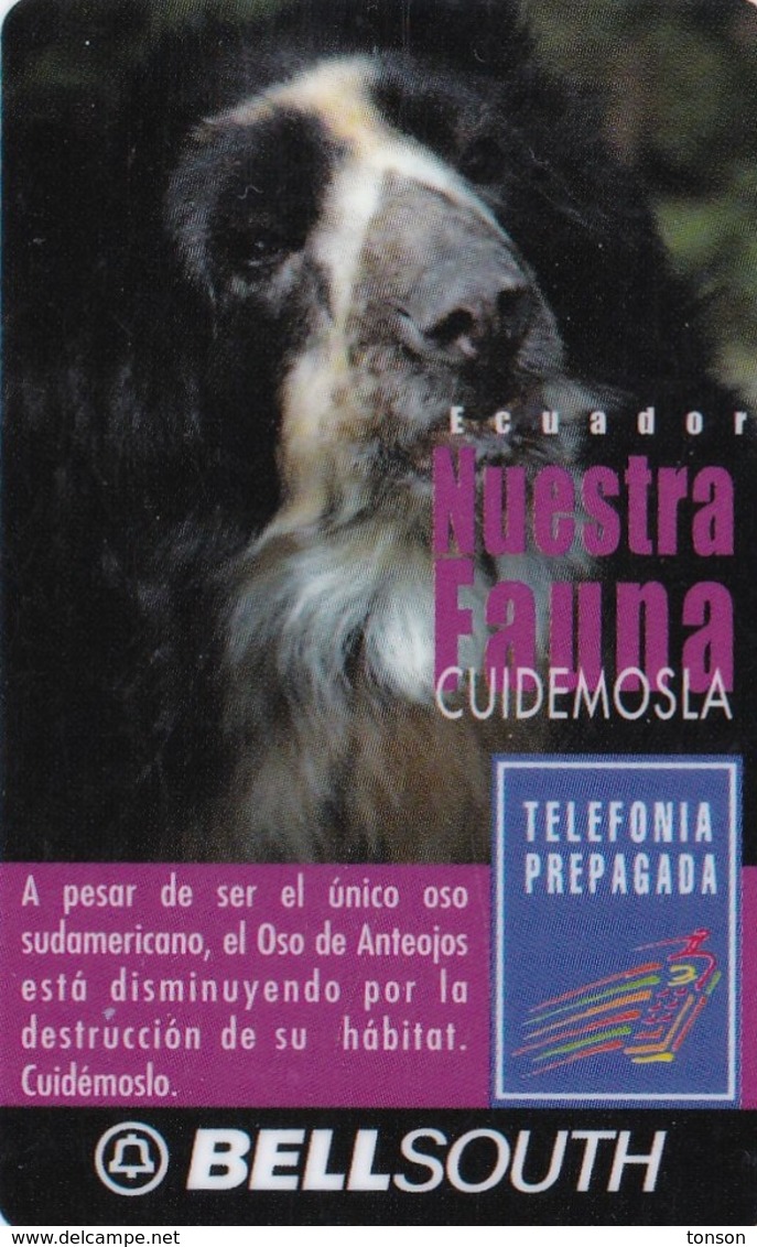 Ecuador, EC-BSP-103A, Oso De Anteojos, On Back: Caduca Noviembre 2000, 2 Scans. - Equateur