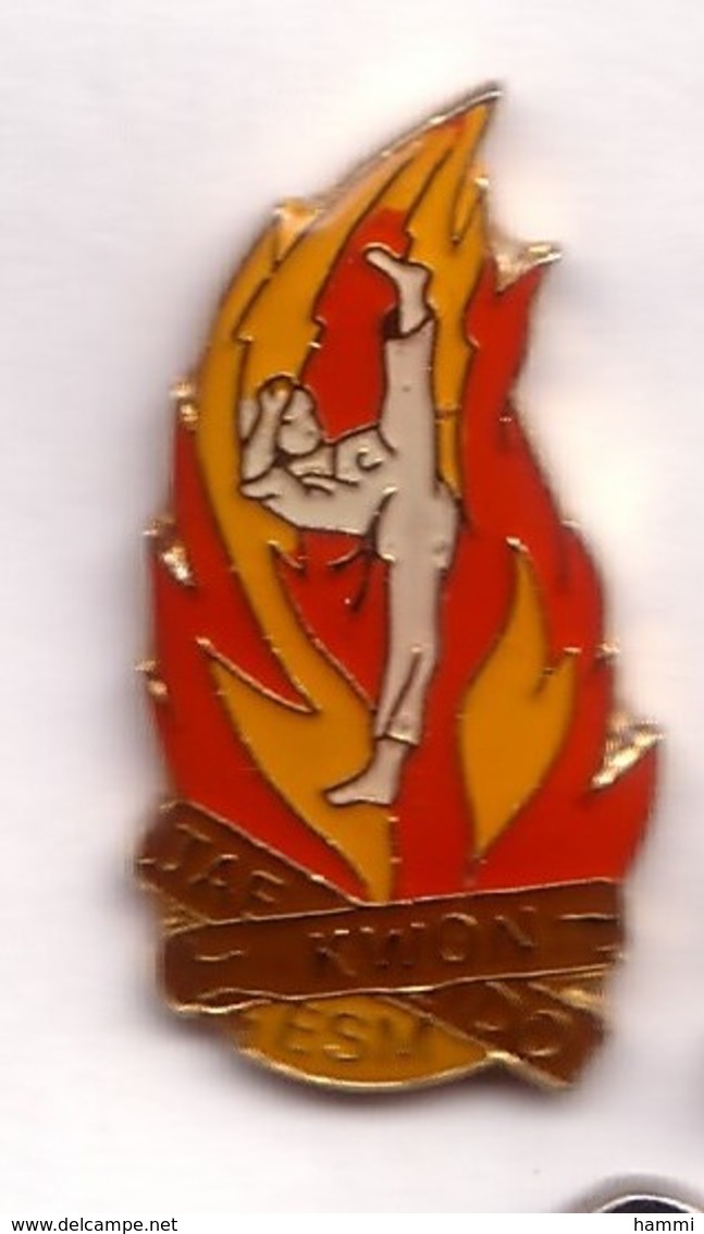 C147 Pin's Arts Martiaux TAE KWON DO ESM MASSY Essonne Achat Immédiat - Judo