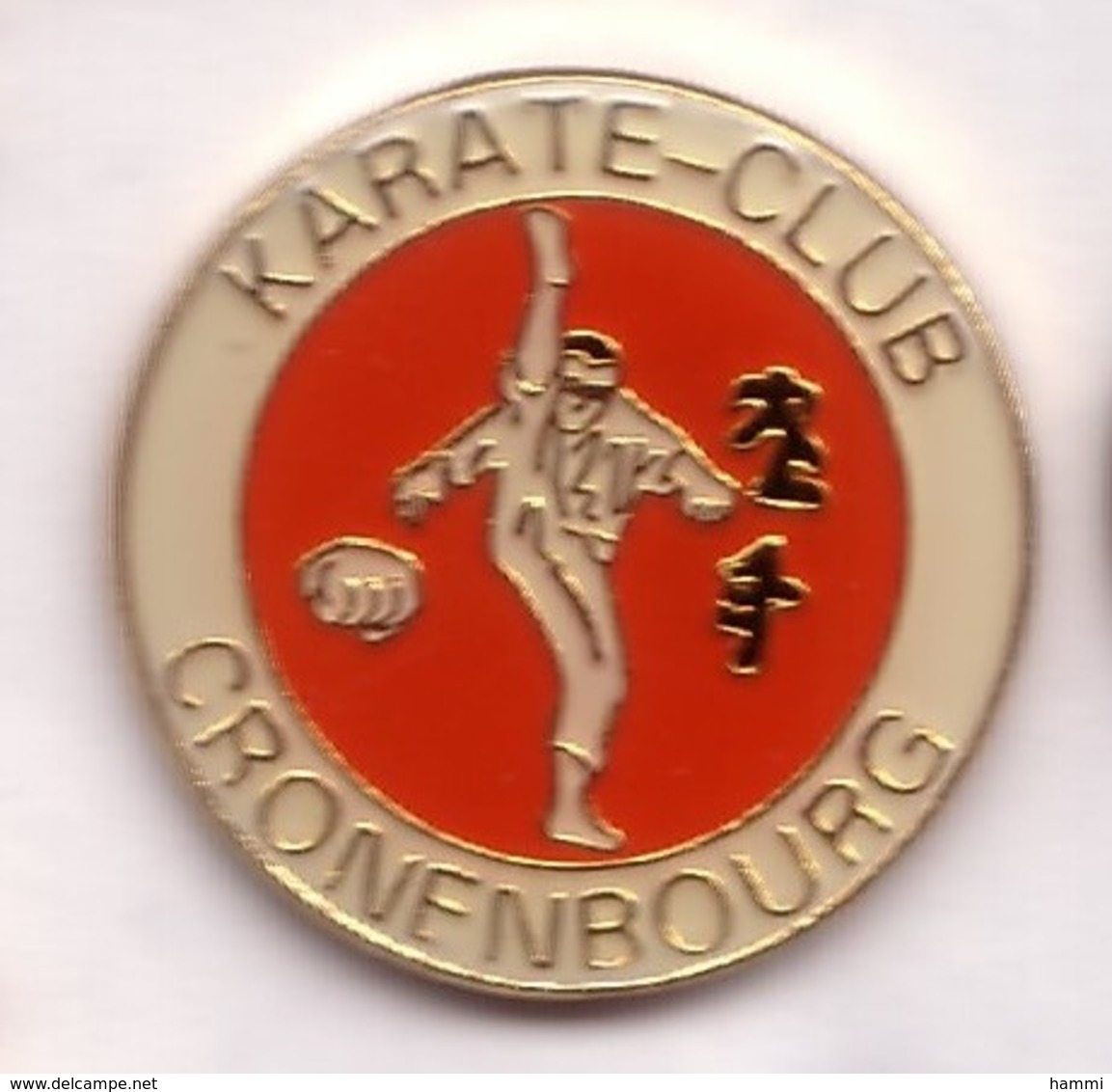 C107 Pin's Arts Martiaux Karaté Cronenbourg Alsace Achat Immédiat - Judo