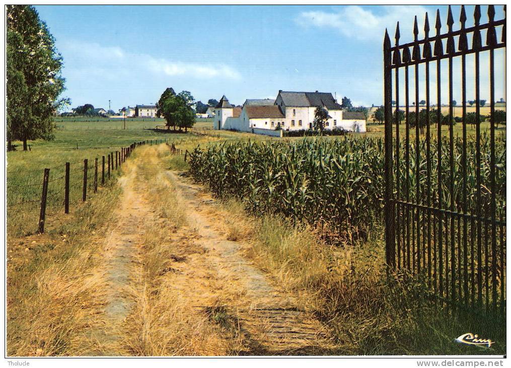 Feluy (Seneffe)- +/-1960-La Ferme Du Capitaine-Paysage Campagnard - Seneffe