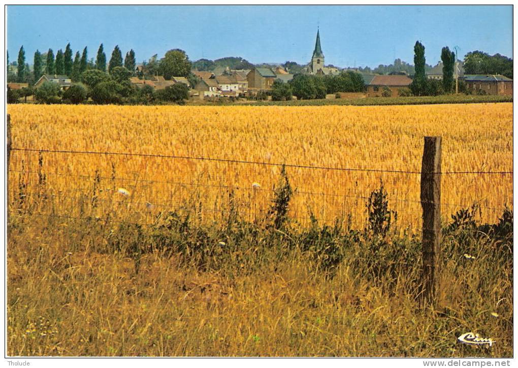 Feluy (Seneffe)- Panorama-+/-1960- L'Eglise Sainte Aldegonde Et Un Champ De Blé - Seneffe