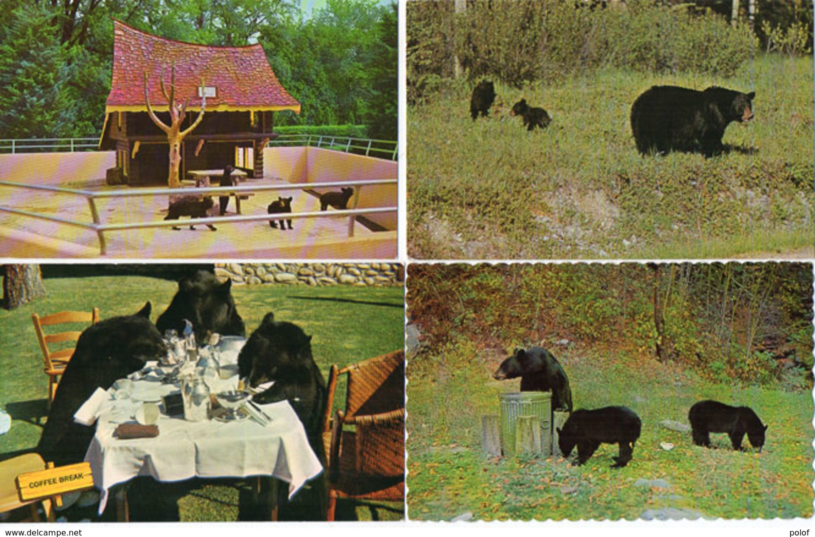 OURS - 4 CP - Black Bear - Storybook Gardens - (118853) - Ours