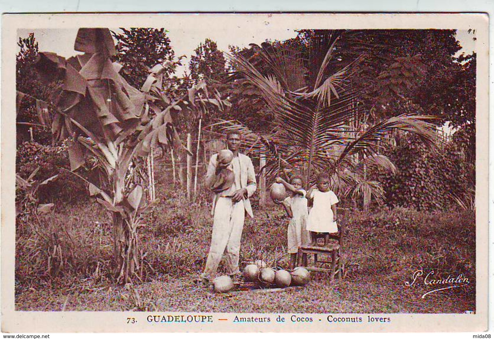 GUADELOUPE . AMATEUR DE COCOS . ANIMEE . Editeur CANDALEN - Sonstige & Ohne Zuordnung