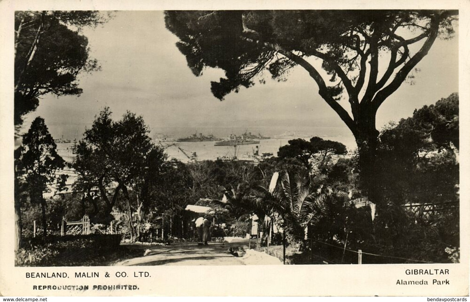 Gibraltar, Alameda Park (1945) RPPC Postcard Censor Cancel - Gibraltar