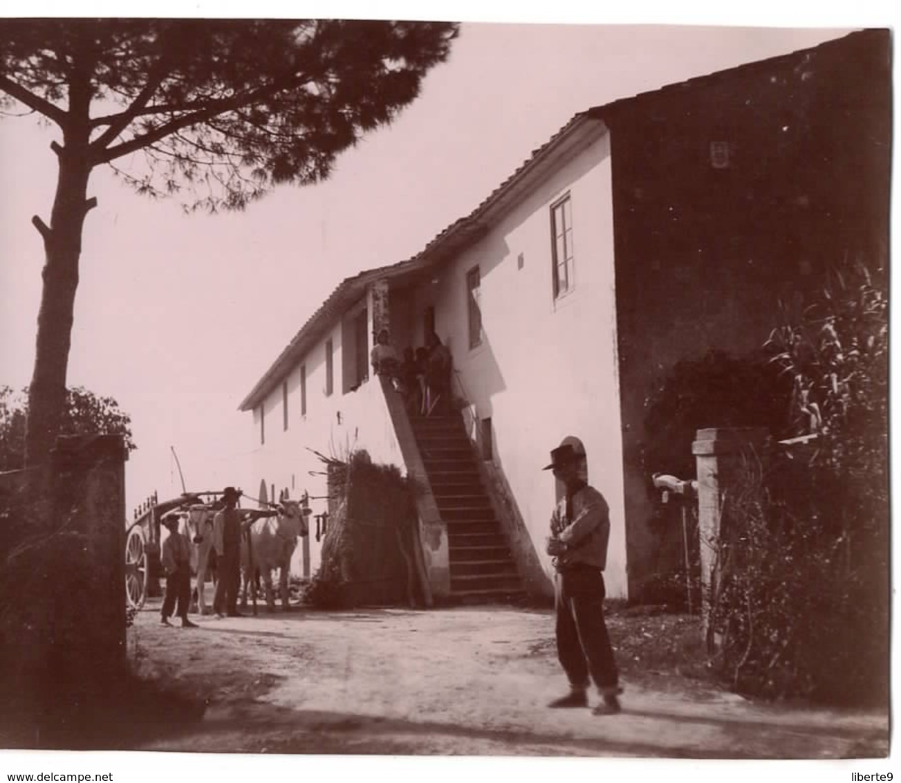 5 Photo CASCINA C.1900 Photo - Trattoria ISNARD Attelage Boeufs... - Luoghi