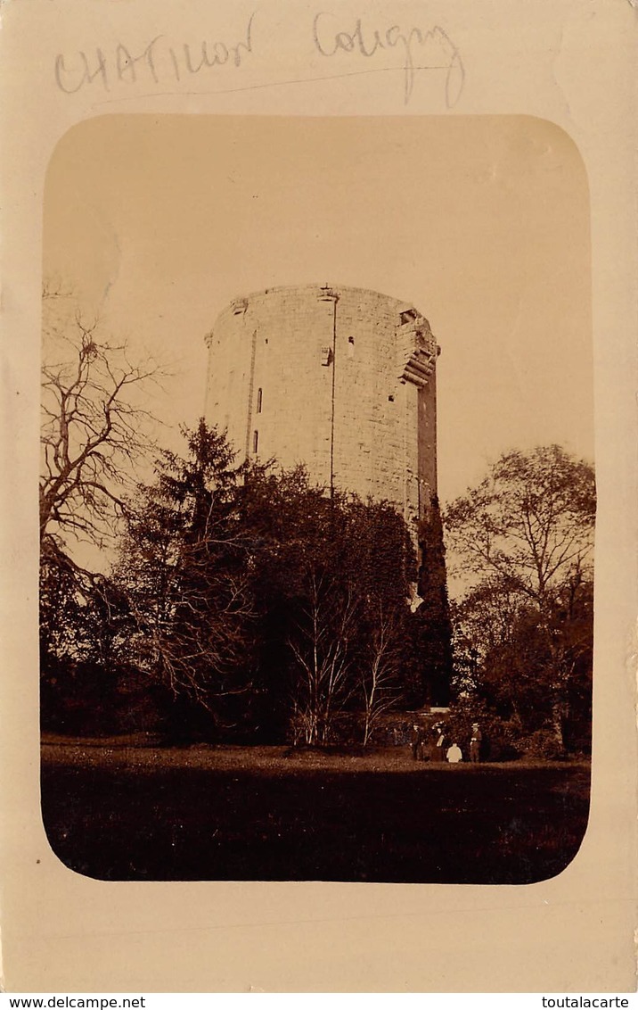 CARTE PHOTO 45 CHATILLON COLIGNY LE DONJON - Chatillon Coligny