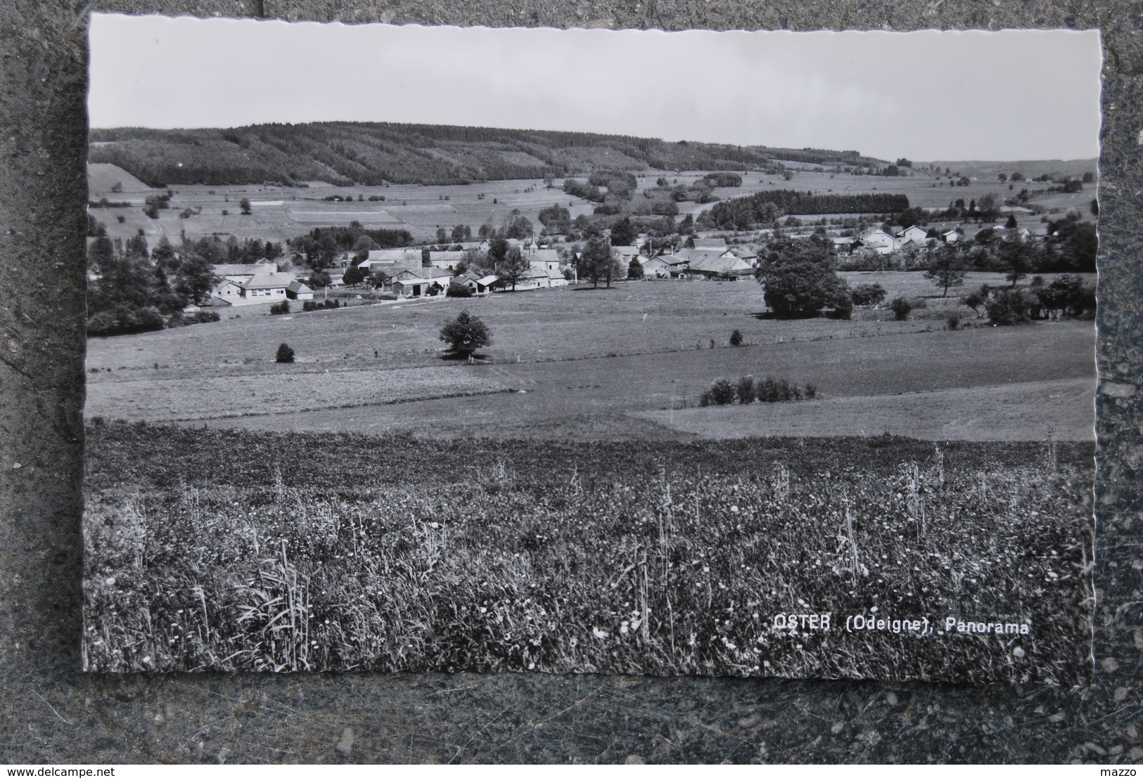 2303/OSTER(Odeigne)Panorama-manhay/Erezée - Manhay