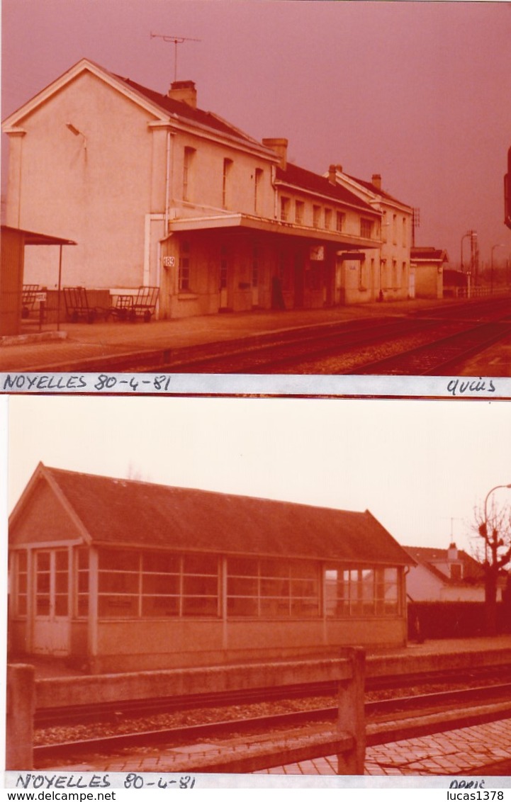 80 / NOYELLES  /  3  PHOTO VERITABLE  GARE 1981 - Noyelles-sur-Mer
