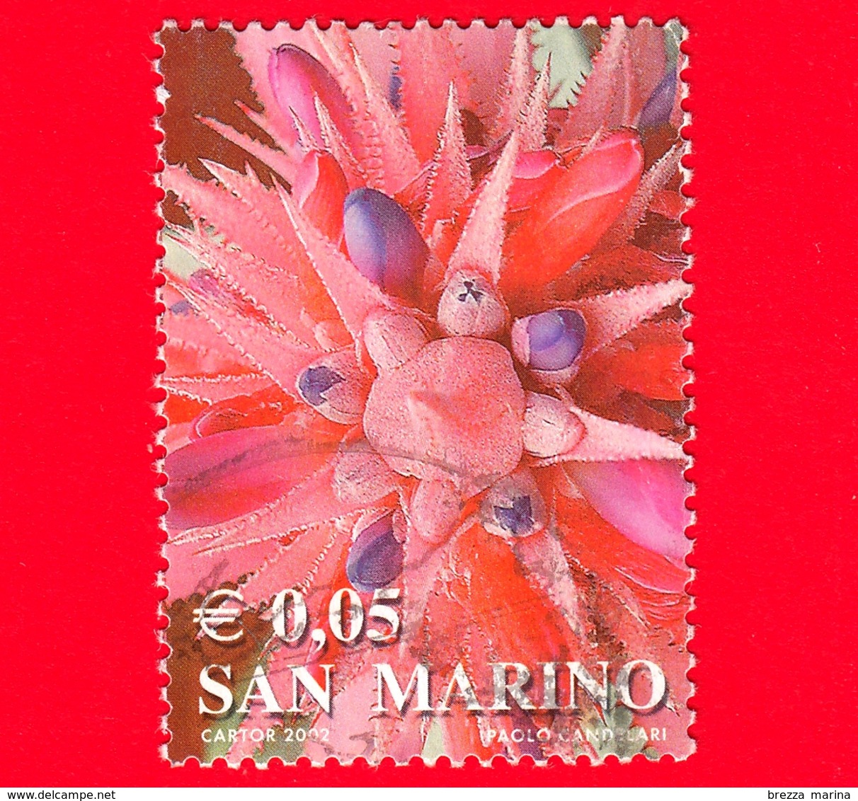 SAN MARINO - Usato - 2002 - Colori Della Vita - Pianta Grassa (rosso) - Succulent - 0.05 - Gebruikt