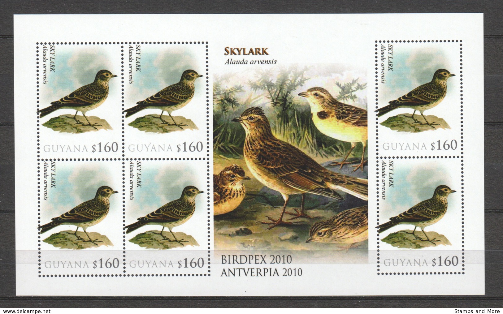 Guyana - MNH Sheet BIRDPEX ANTWERP 2010 - SKYLARK - Otros & Sin Clasificación