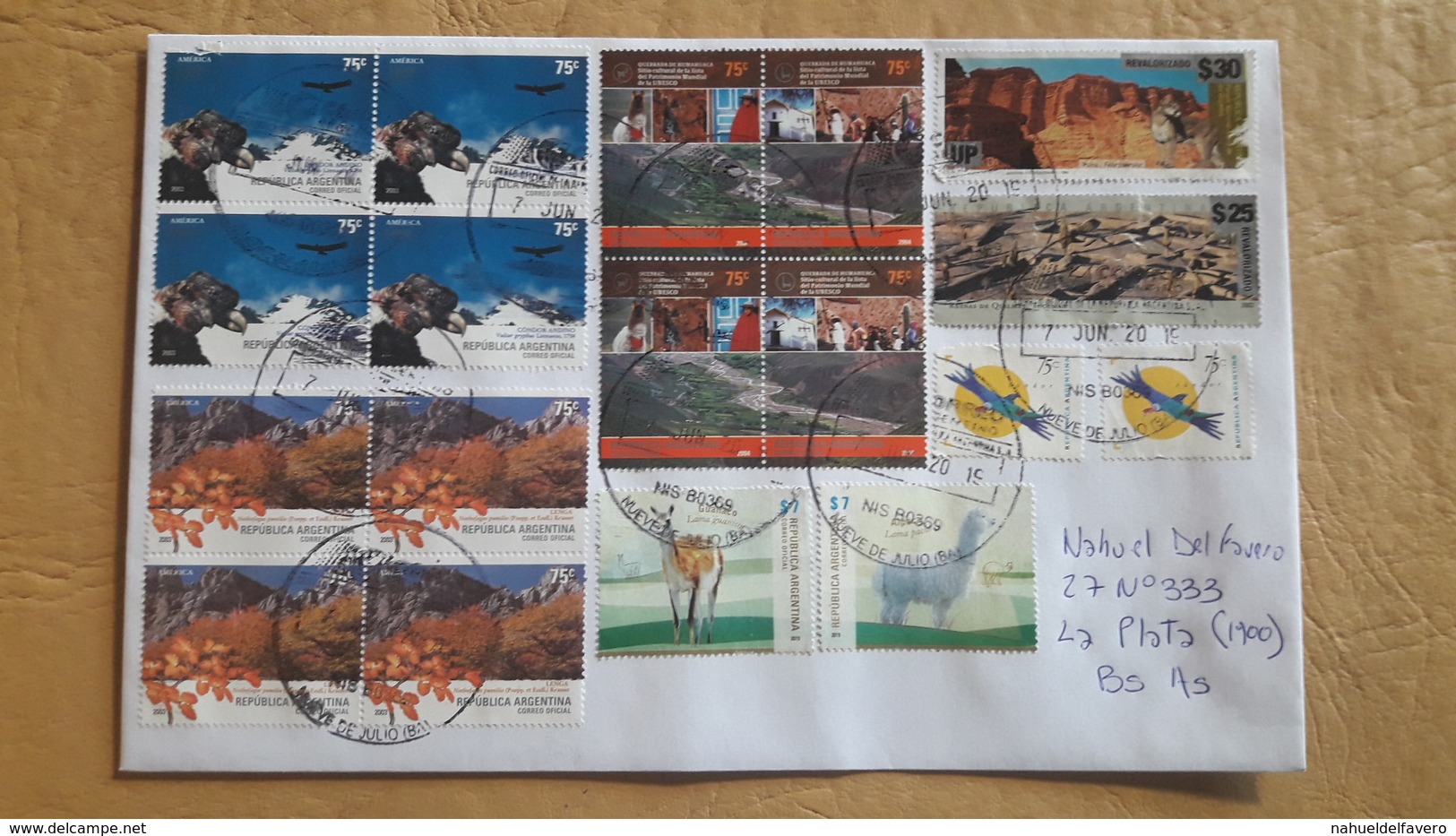 Enveloppe Argentine En Circulation Avec Timbre Paysages Et Faune - Covers & Documents