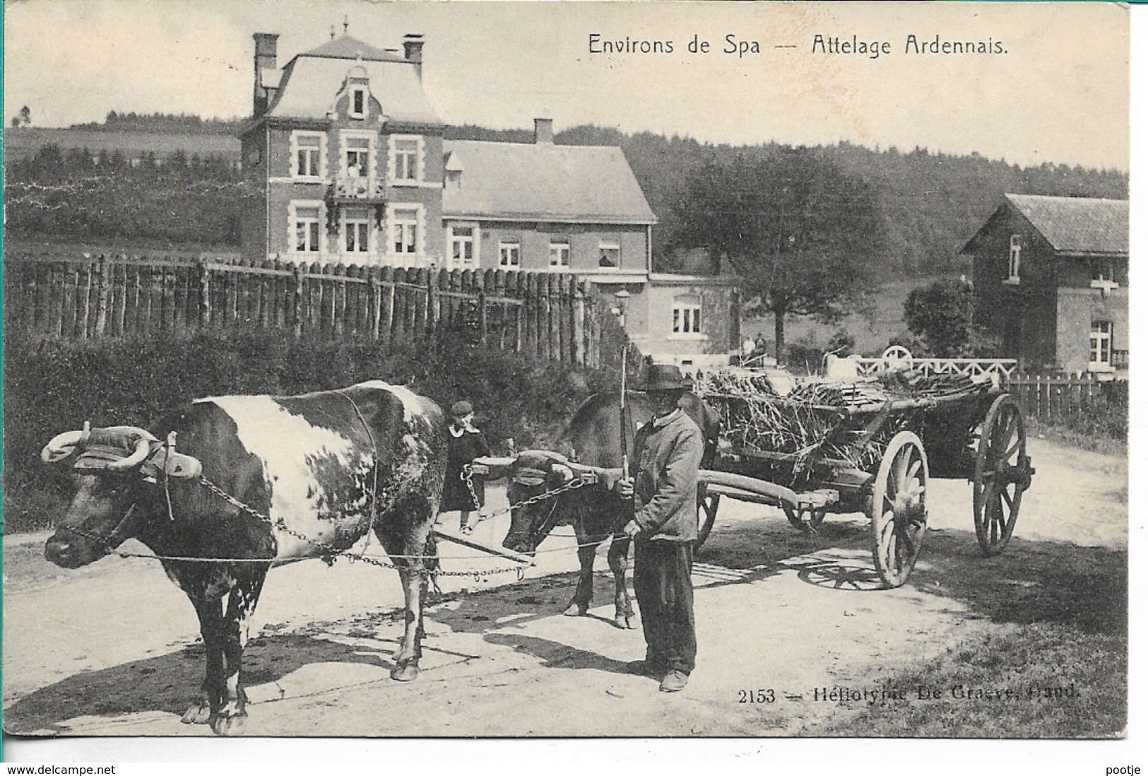 Spa Attelage Ardenaise - Spa