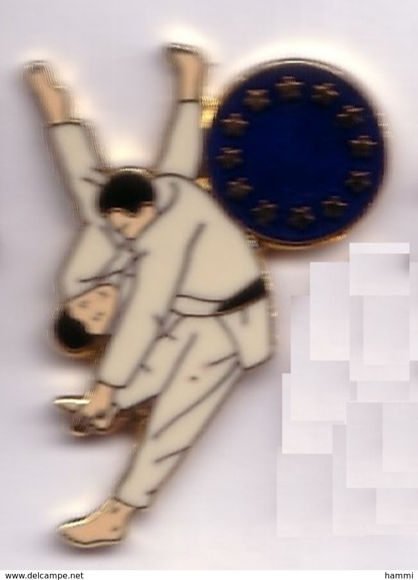 C78 Pin's JUDO FF Europe Qualité EGF Achat Immédiat - Judo