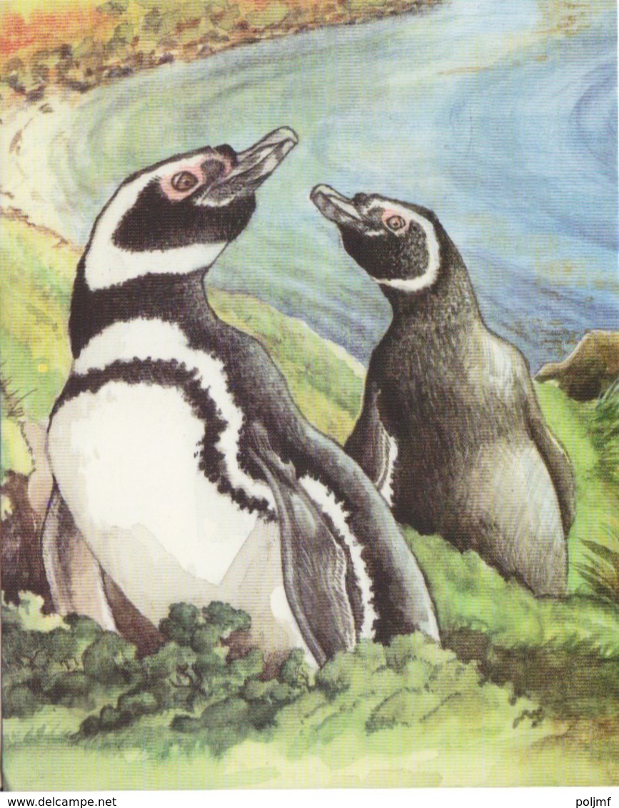 CP Neuve (Falkland Island) Manchots De Magellan, Dessin Sonia Felton - Falklandeilanden